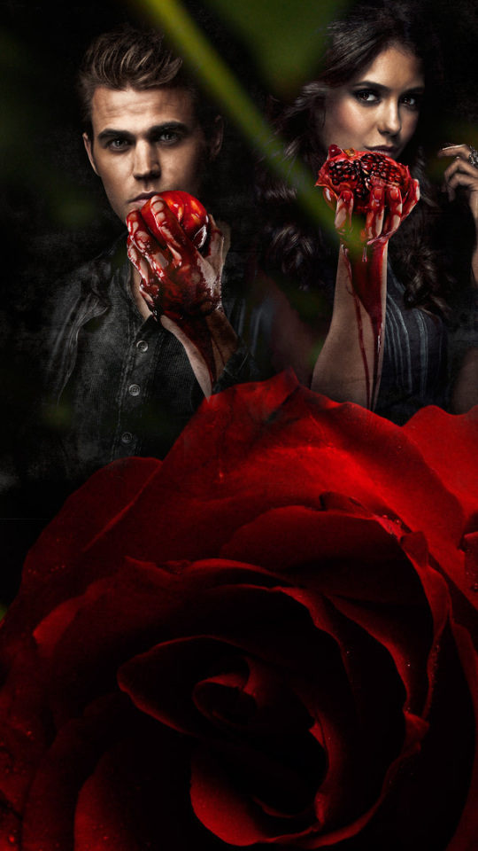 Download mobile wallpaper Halloween, Blood, Flower, Rose, Vampire, Tv Show, Horror, The Vampire Diaries for free.