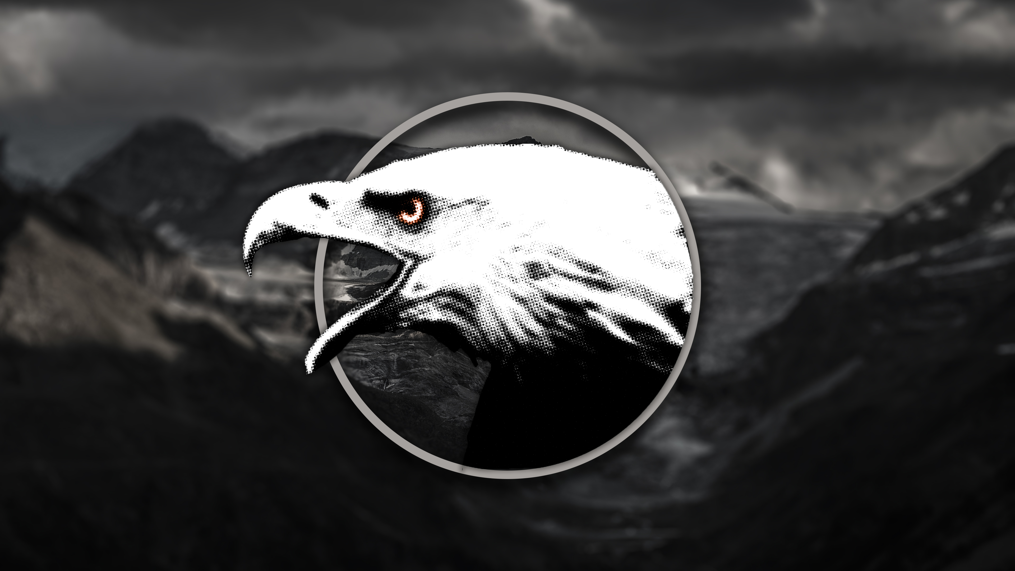 Free download wallpaper Birds, Animal, Circle, Shapes, Eagle, Black & White on your PC desktop