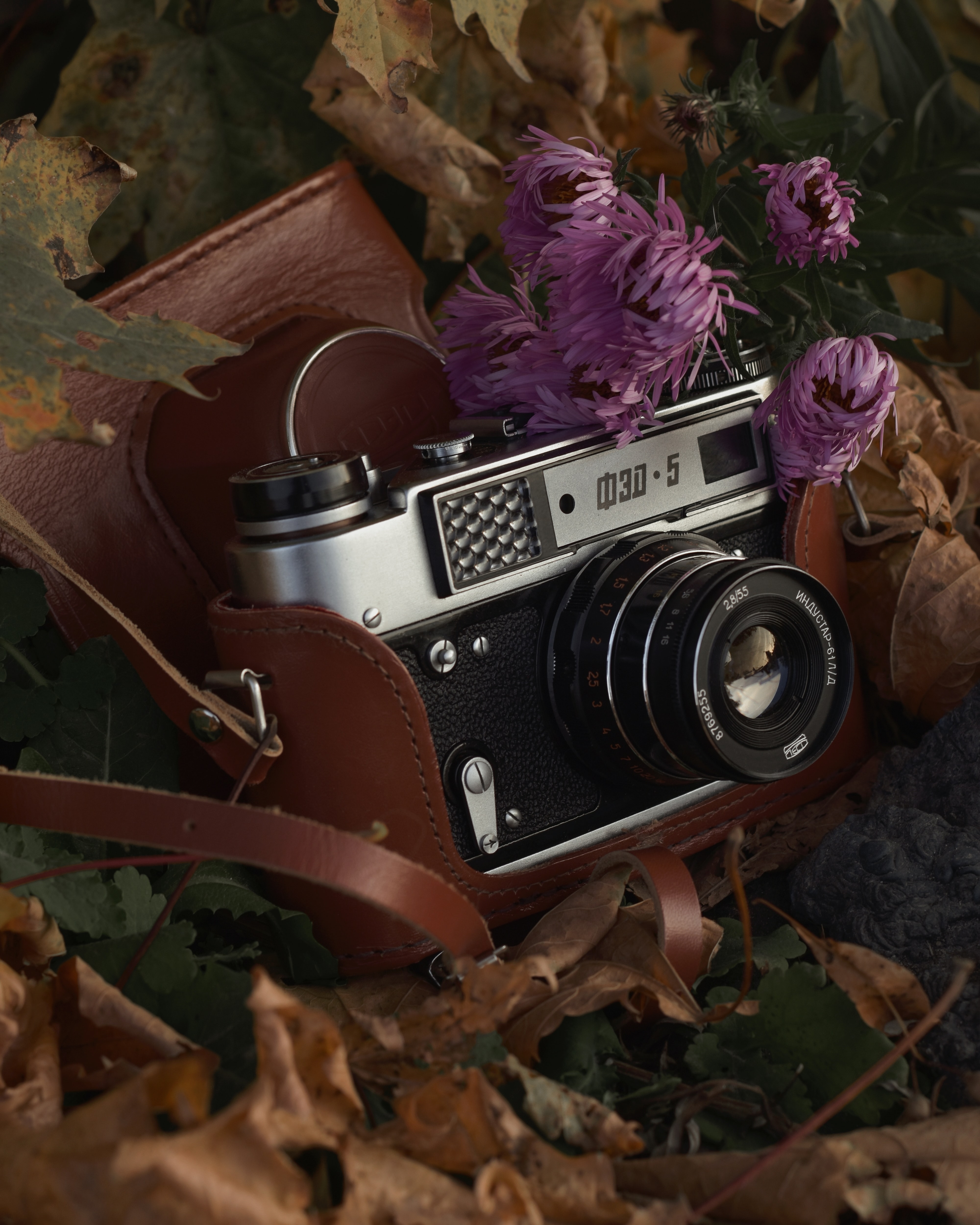 autumn, miscellanea, miscellaneous, vintage, foliage, retro, lens, camera QHD