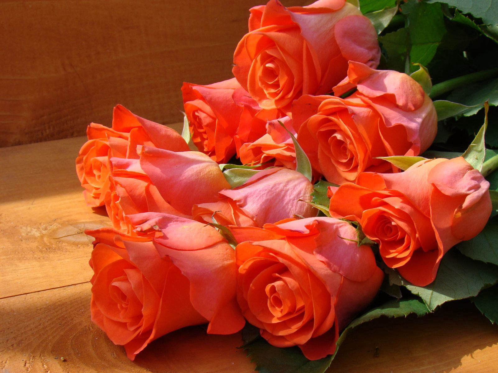 Full HD Wallpaper roses, flowers, beauty, bouquet, bench