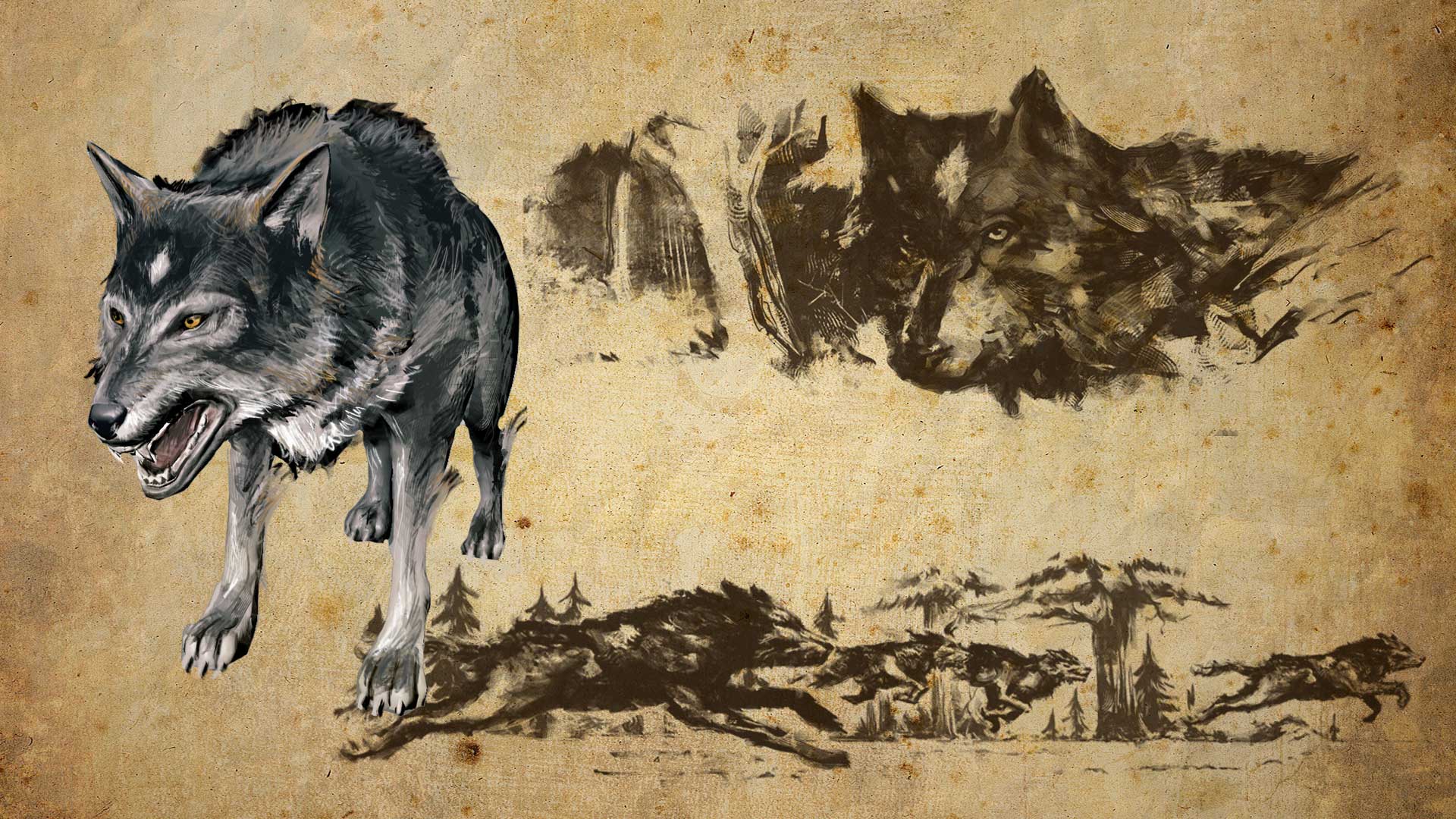 Популярные заставки и фоны «Одинокий Волк» Джо Девера Hd Ремастеринг на компьютер