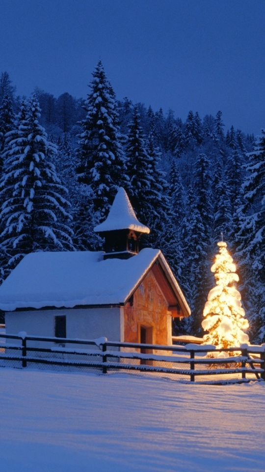 Download mobile wallpaper Winter, Snow, Light, Forest, Tree, Christmas, Holiday, Earth, Church for free.