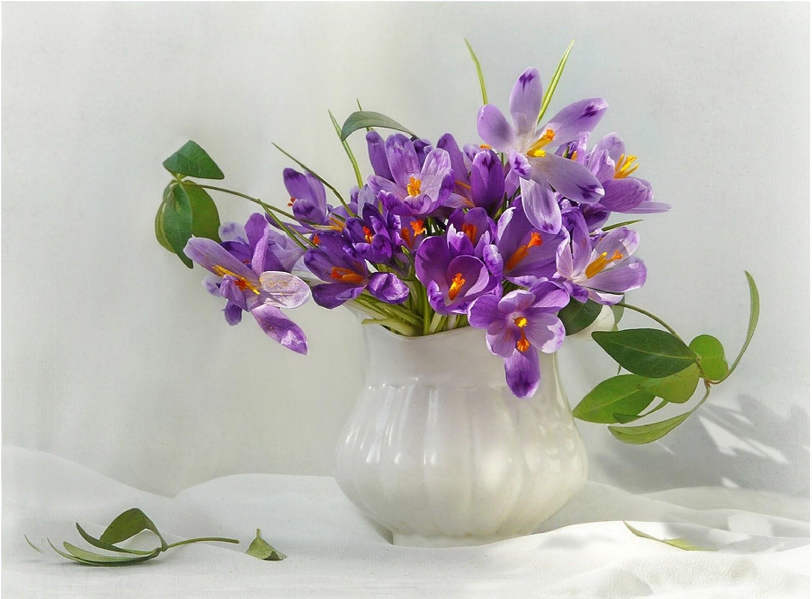 Free download wallpaper Branch, Disbanded, Loose, Flowers, Greens, Bouquet, Vase on your PC desktop