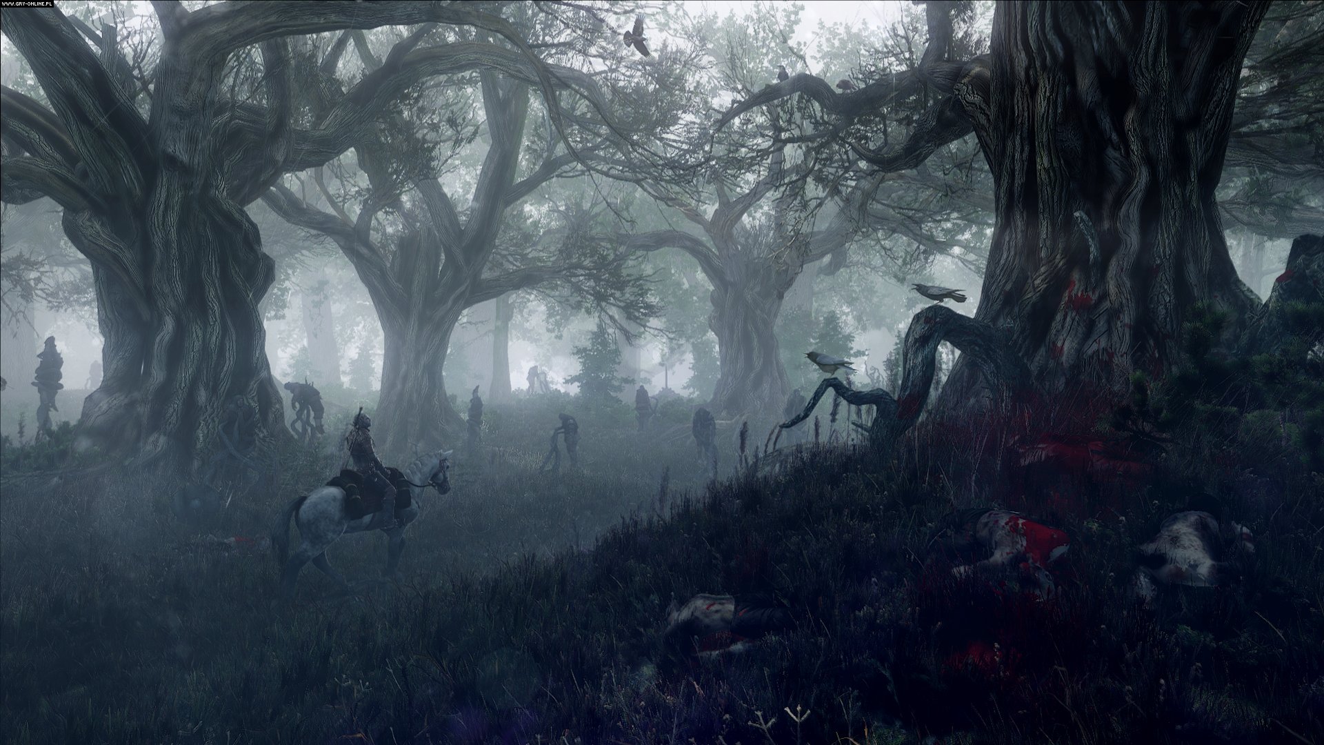 Free download wallpaper Video Game, The Witcher, The Witcher 3: Wild Hunt on your PC desktop