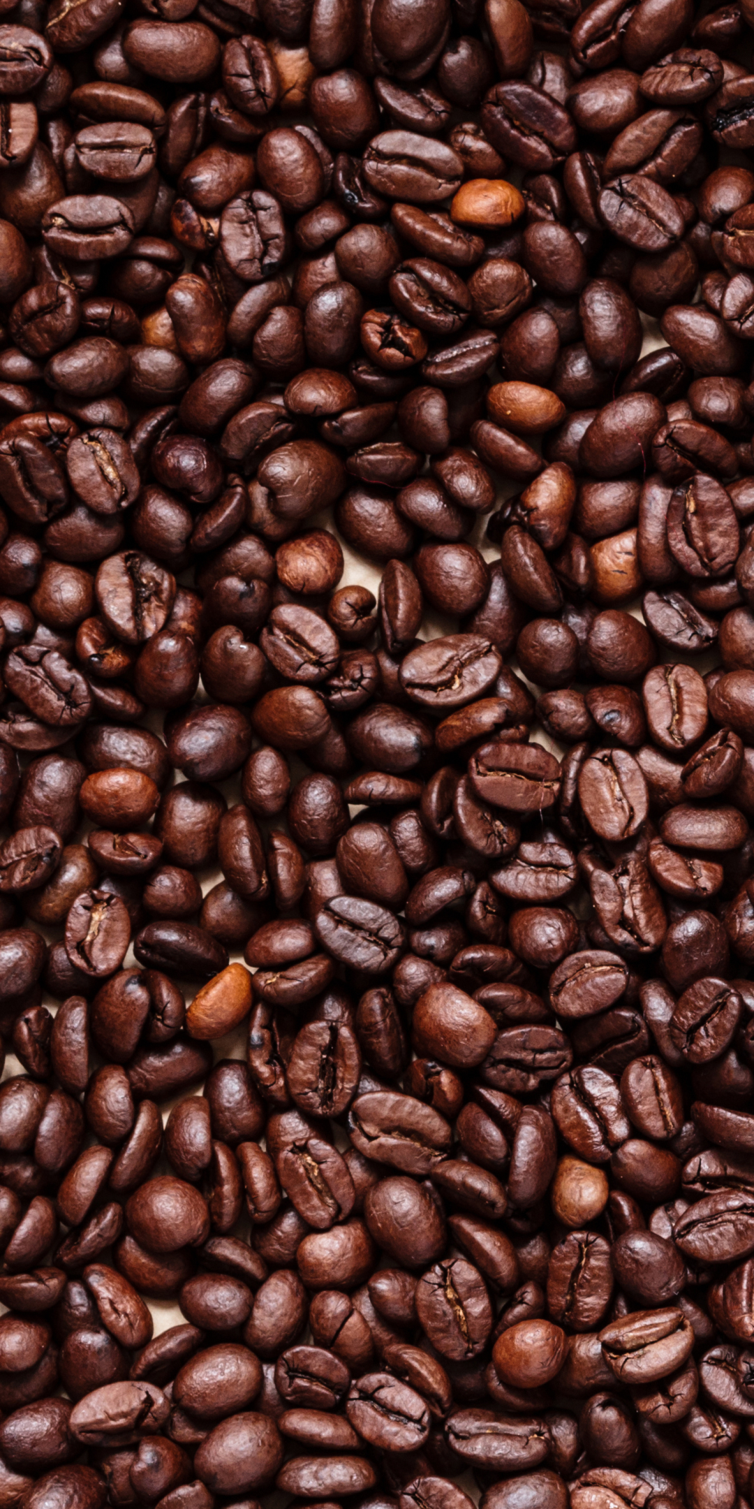 Download mobile wallpaper Food, Coffee, Coffee Beans for free.