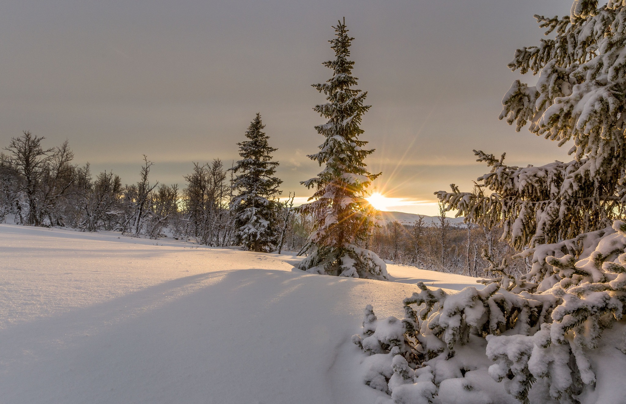 Download mobile wallpaper Winter, Sunrise, Earth for free.