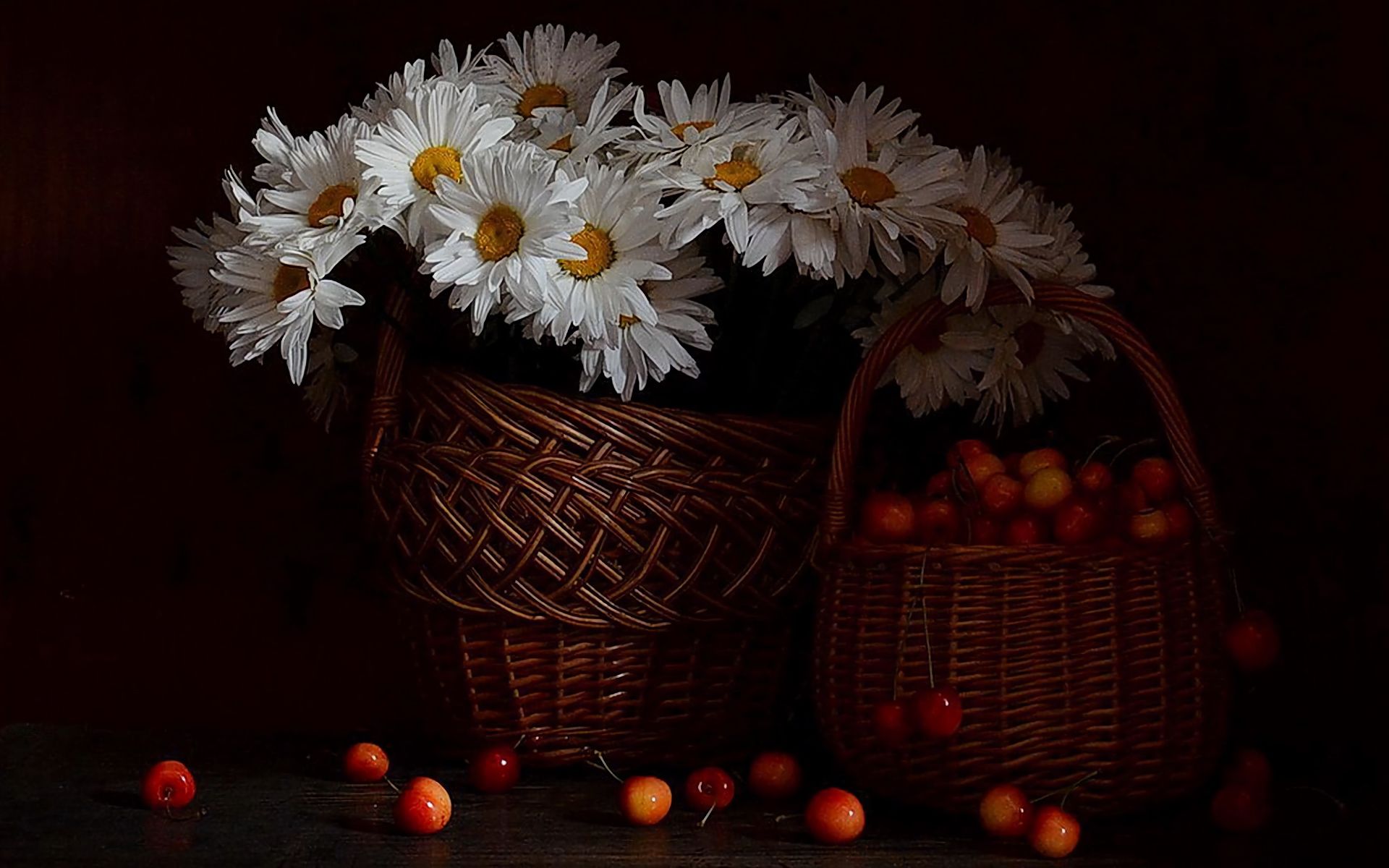Download mobile wallpaper Cherry, Still Life, Flower, Basket, Daisy, Photography, White Flower for free.