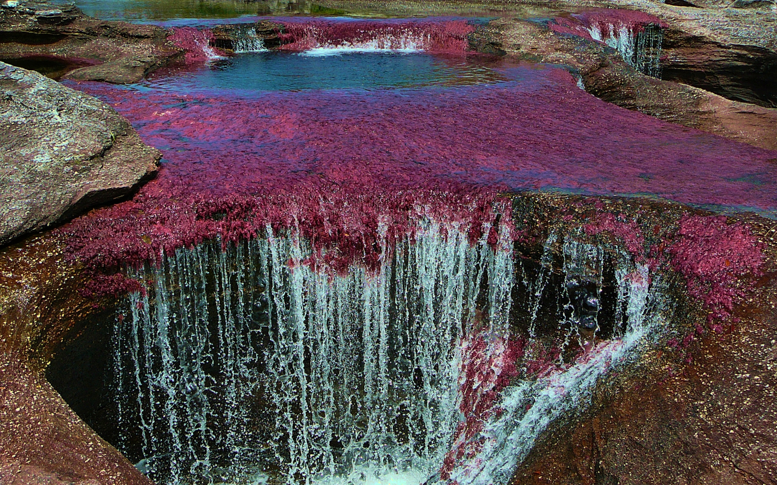 642363 baixar imagens terra/natureza, caño cristales - papéis de parede e protetores de tela gratuitamente