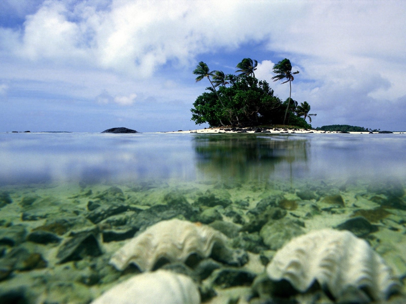 Laden Sie das Landschaft, Sea, Palms-Bild kostenlos auf Ihren PC-Desktop herunter