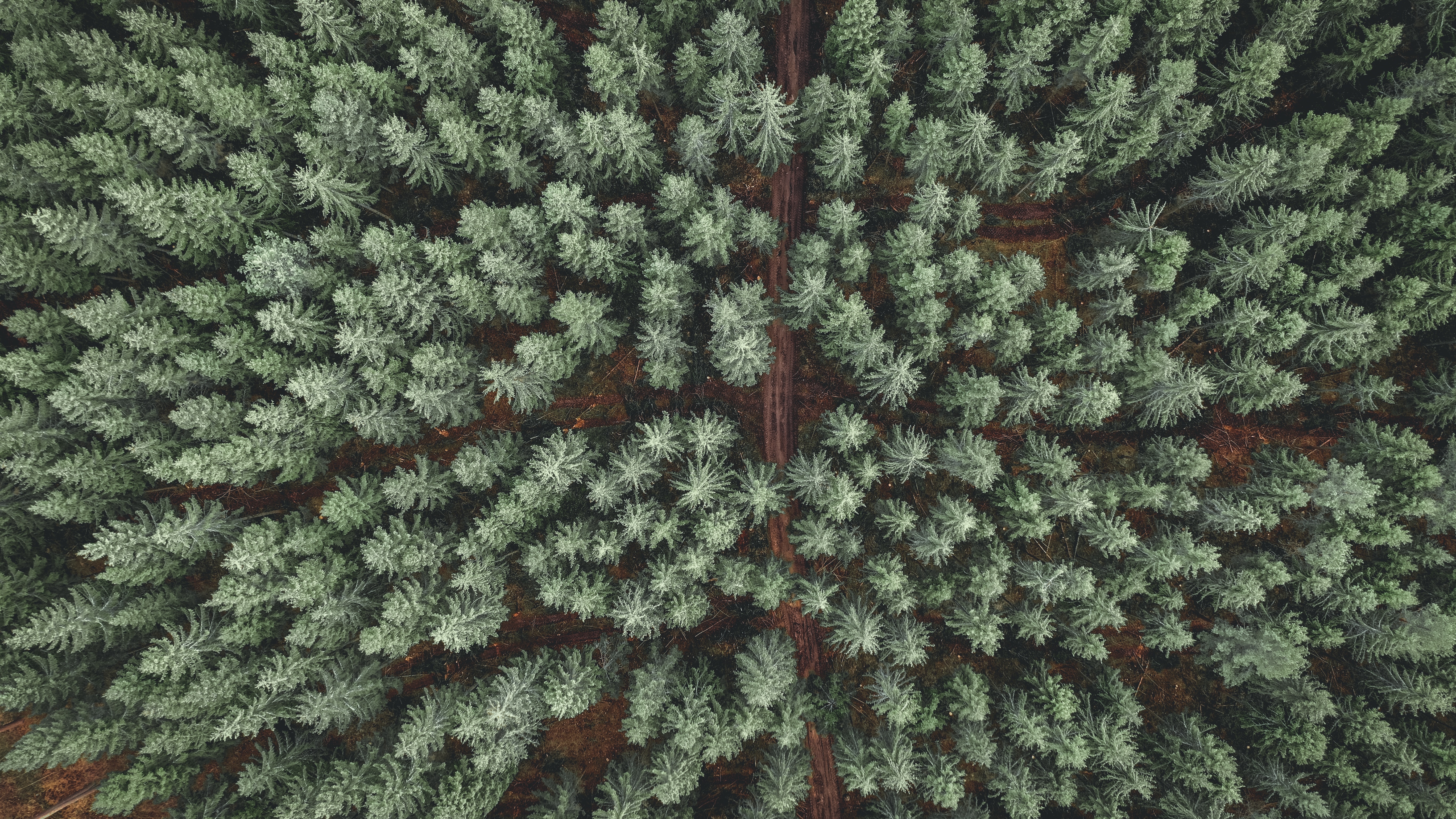 Download mobile wallpaper Top, Tops, View From Above, Pine, Road, Forest, Nature for free.