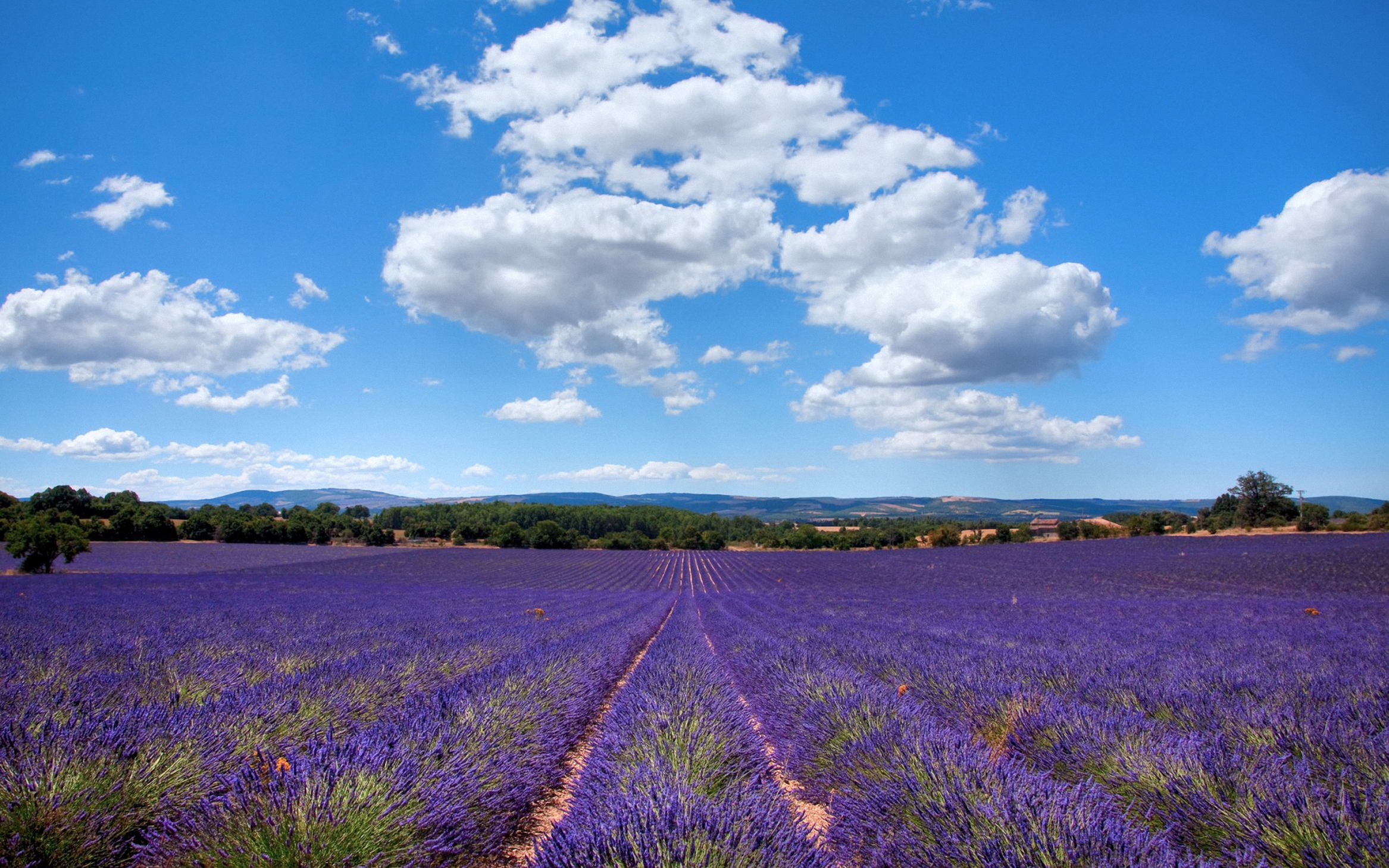 Descarga gratuita de fondo de pantalla para móvil de Paisaje, Tierra/naturaleza.