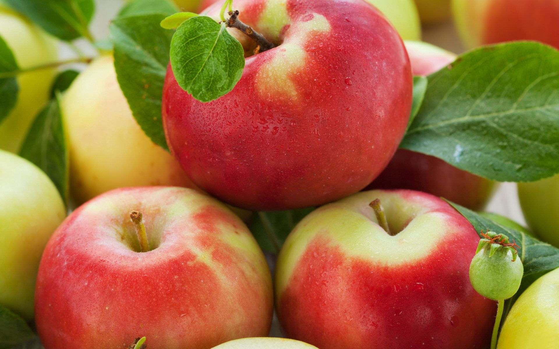 fruits, apples, food, ripe