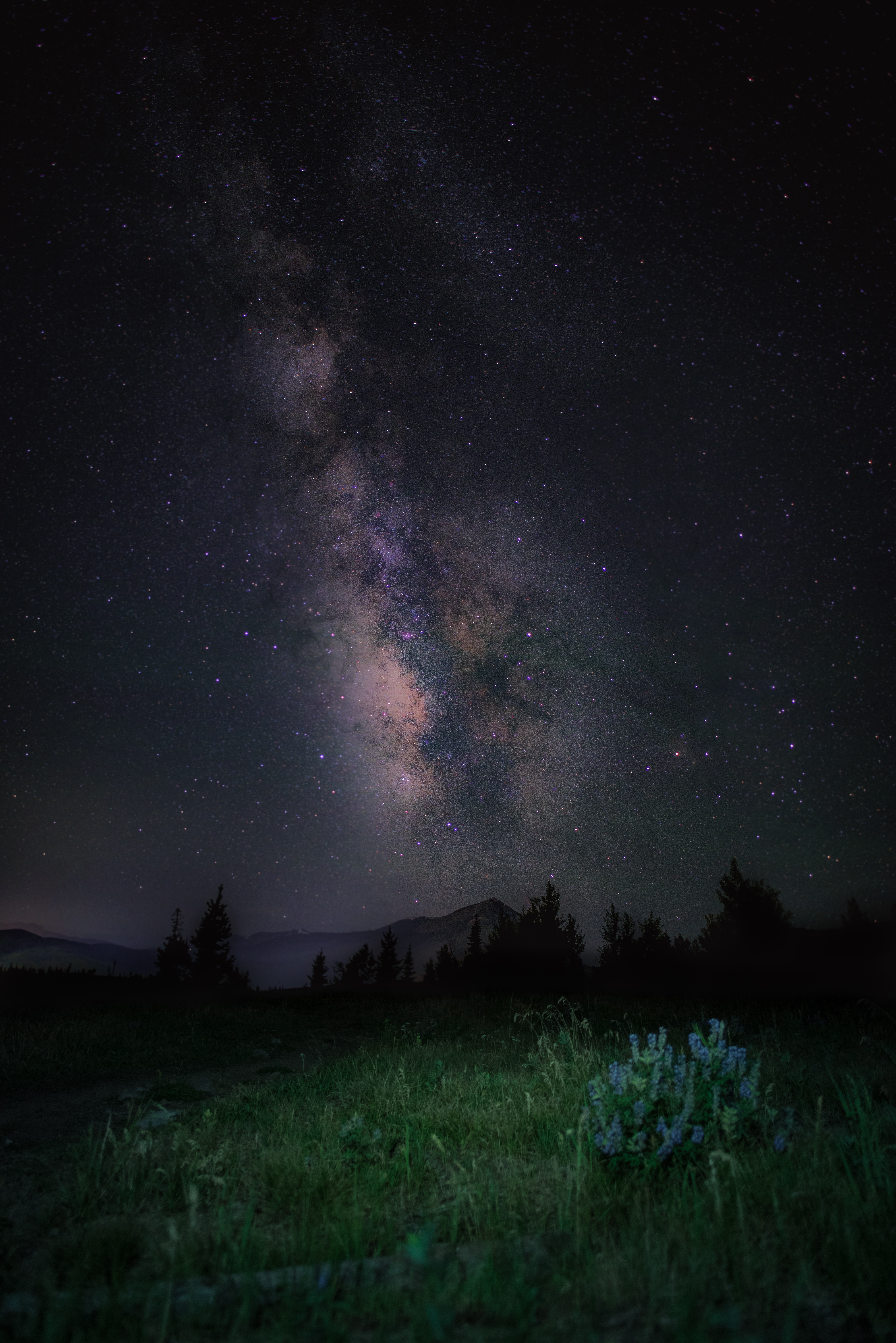 mountains, nature, grass, night, starry sky, milky way for android