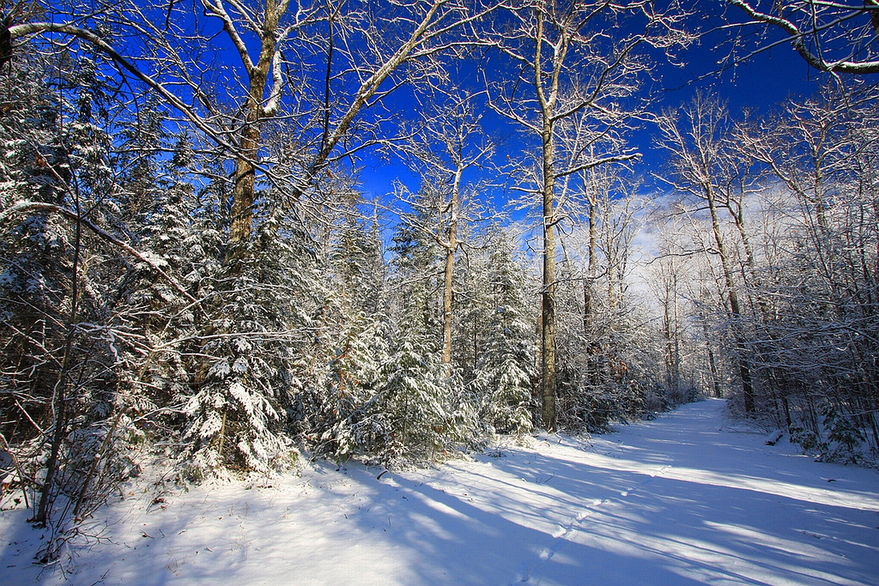 Descarga gratis la imagen Invierno, Tierra/naturaleza en el escritorio de tu PC