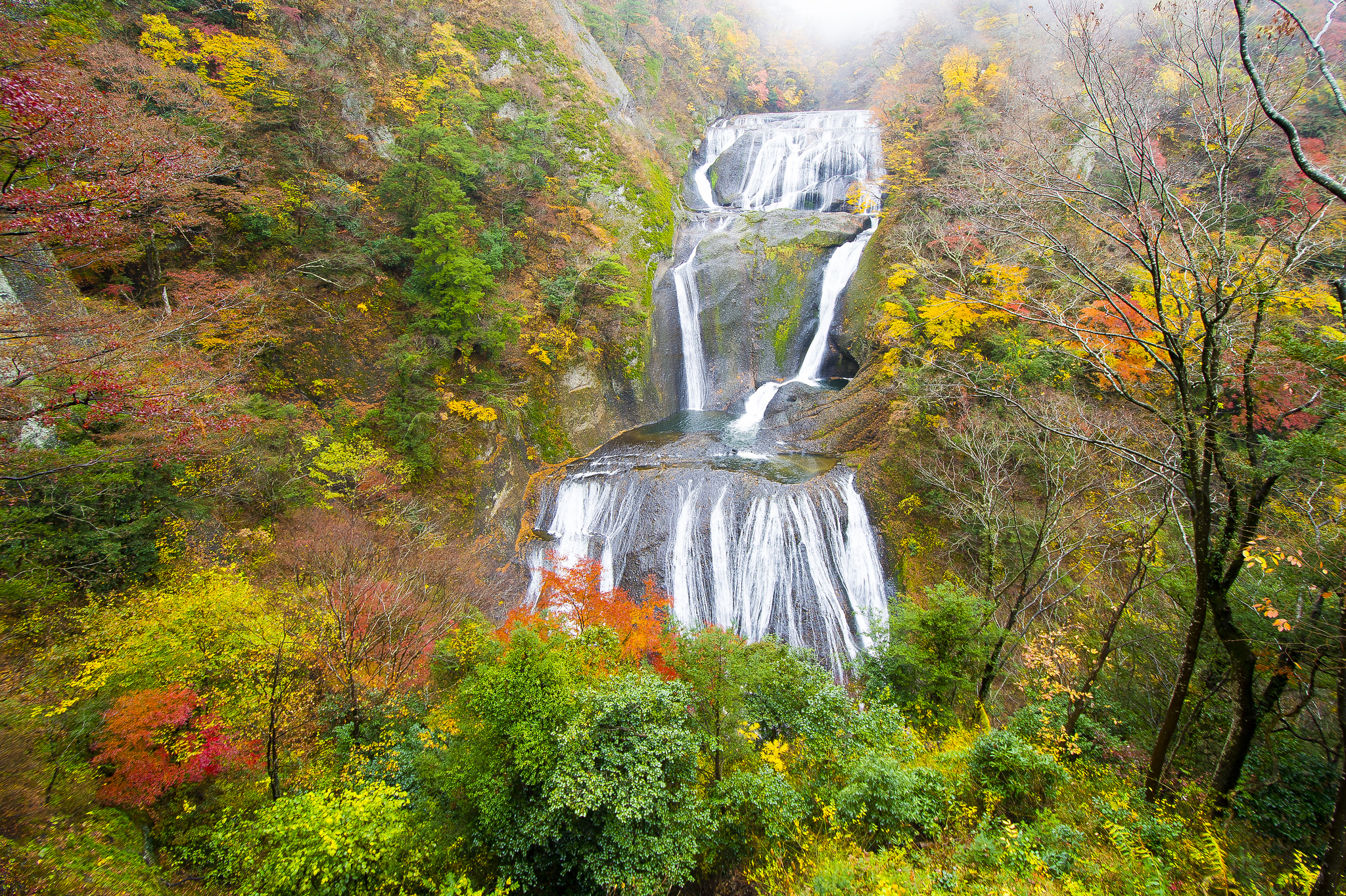 Baixar papel de parede para celular de Outono, Cachoeiras, Árvore, Terra/natureza, Cachoeira gratuito.