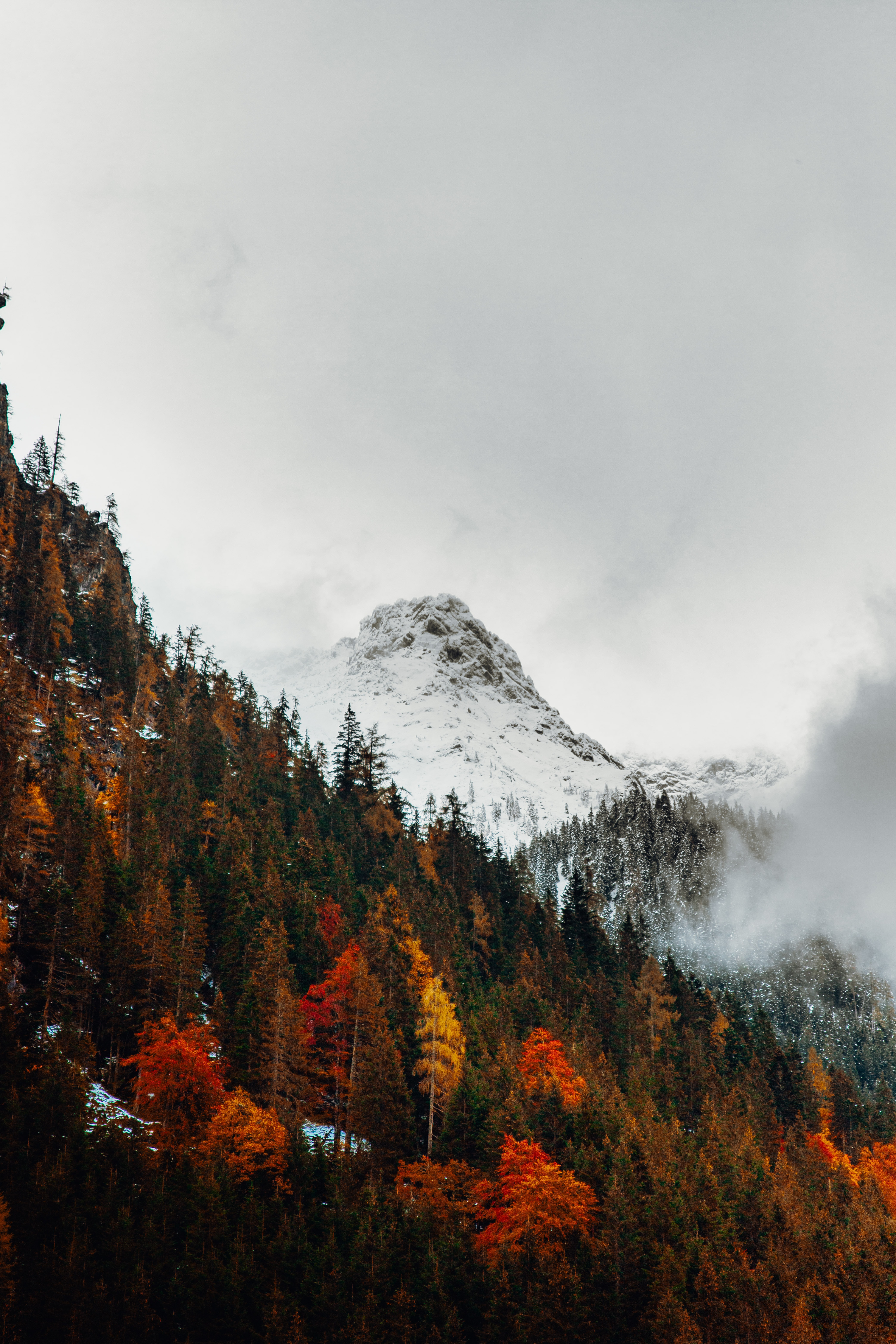 121432 скачать обои гора, природа, снег, осень, вершина, лес - заставки и картинки бесплатно