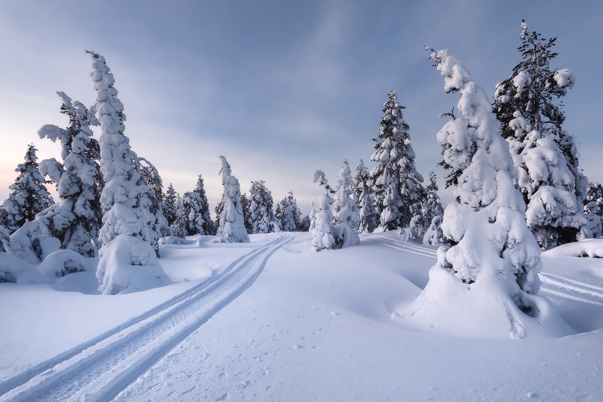 PCデスクトップに冬, 自然, 雪, モミの木, 道, 地球画像を無料でダウンロード