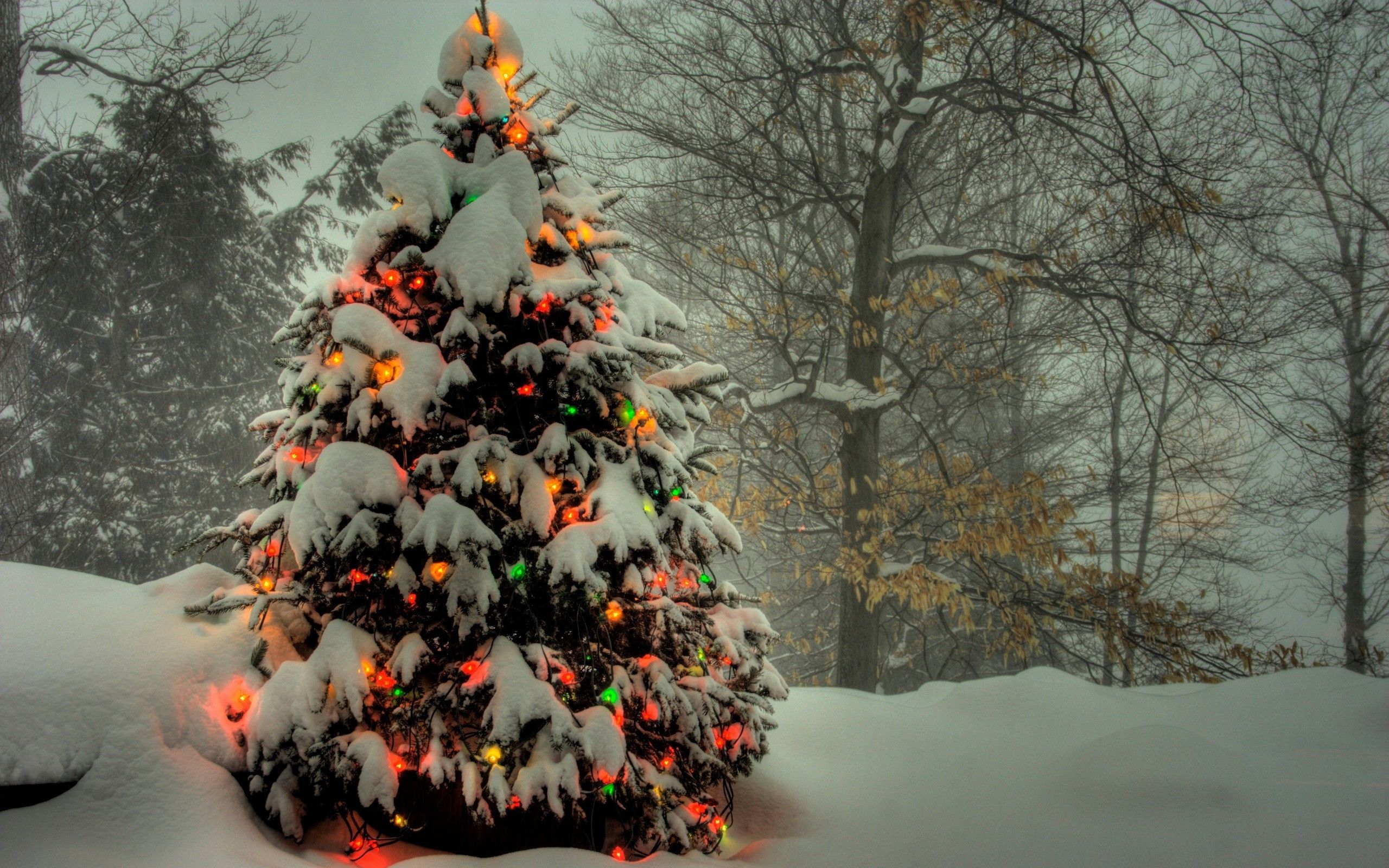 Скачать обои бесплатно Снег, Рождество, Рождественская Елка, Праздничные, Рождественские Огни картинка на рабочий стол ПК