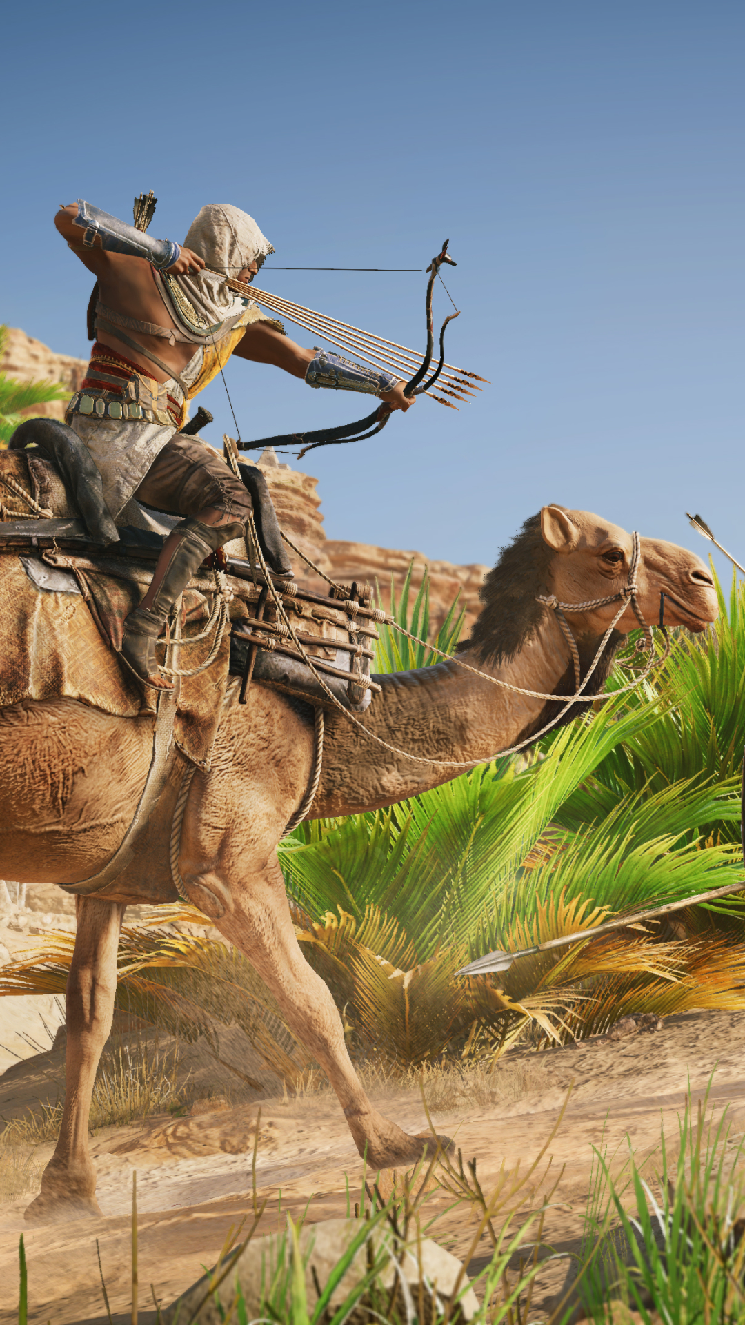 Download mobile wallpaper Assassin's Creed, Video Game, Assassin's Creed Origins, Bayek Of Siwa for free.