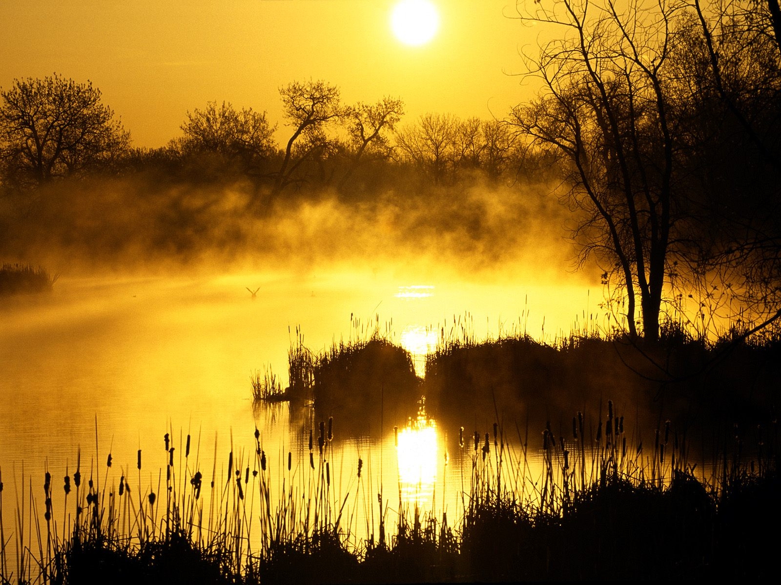 Descarga gratuita de fondo de pantalla para móvil de Atardecer, Tierra/naturaleza.