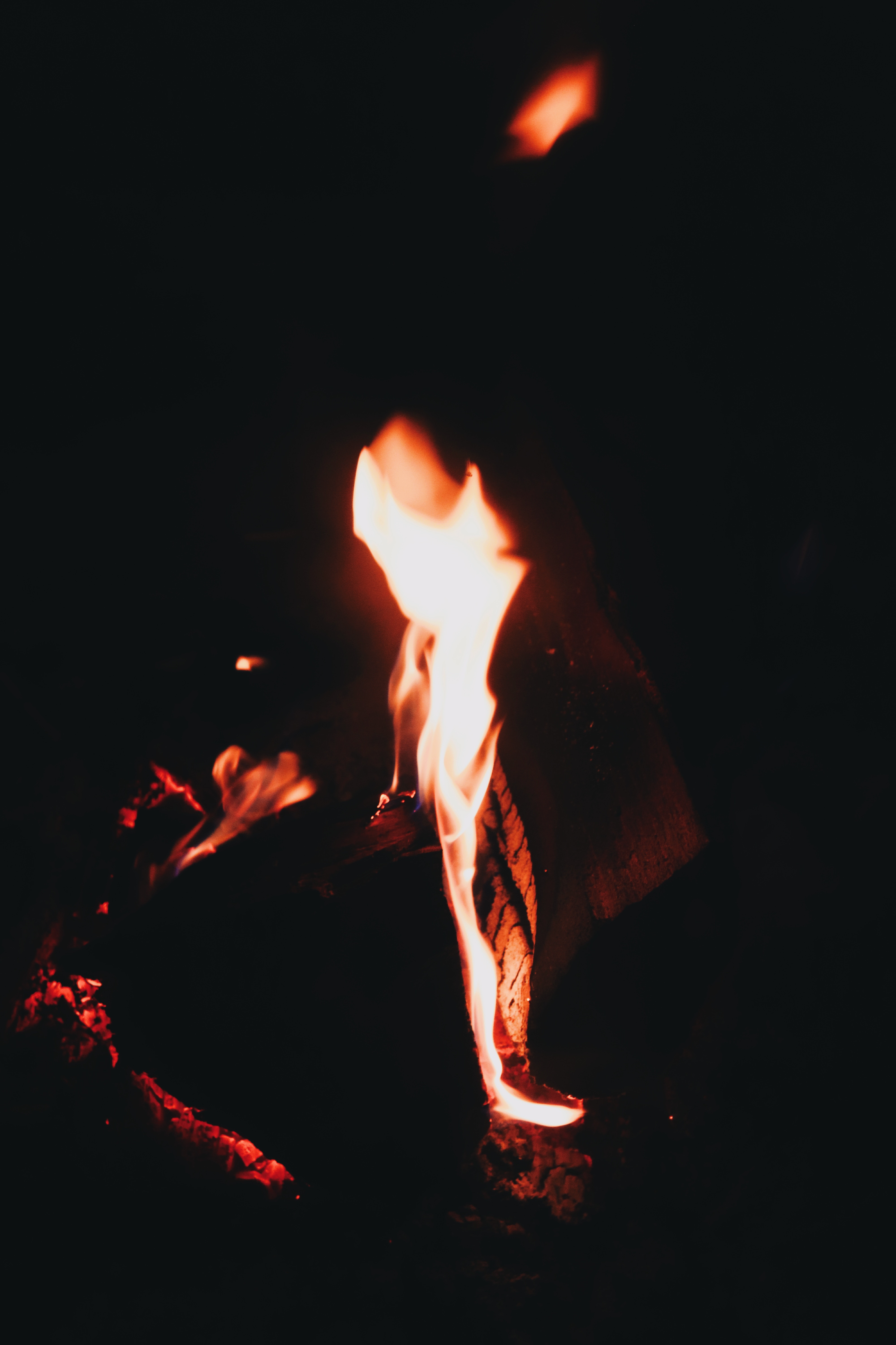 dark, fire, bonfire, night, flame, to burn, burn