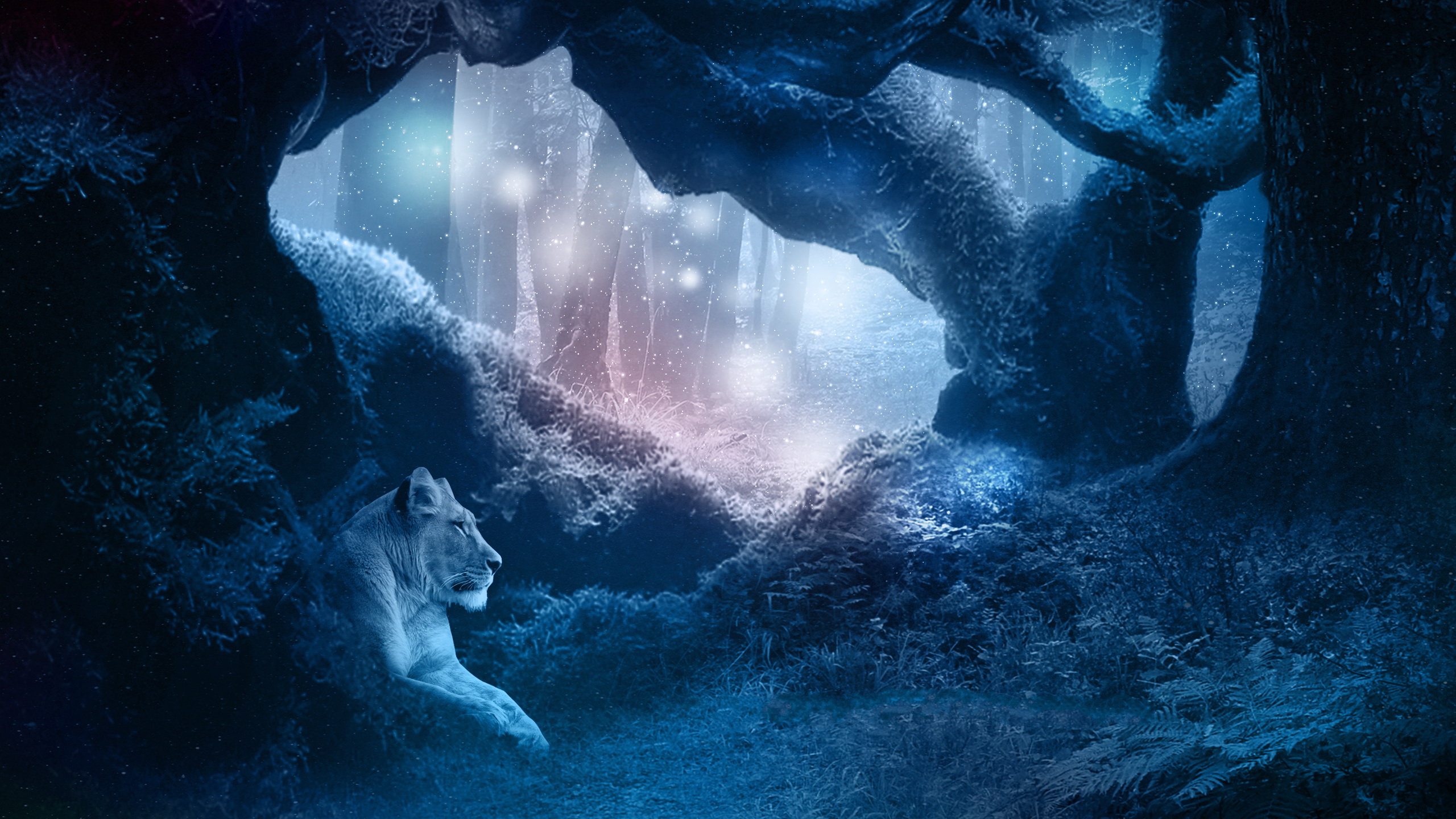 Free download wallpaper Cats, Lion, Animal on your PC desktop