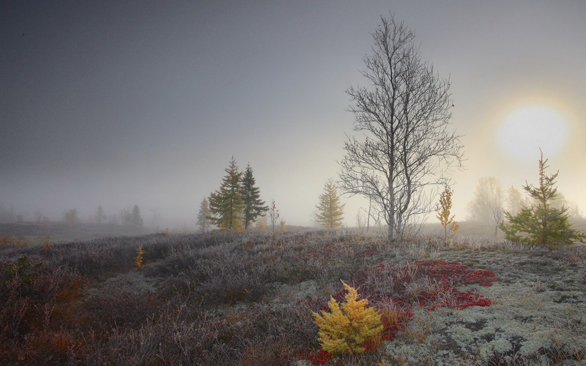 Free download wallpaper Fog, Earth on your PC desktop