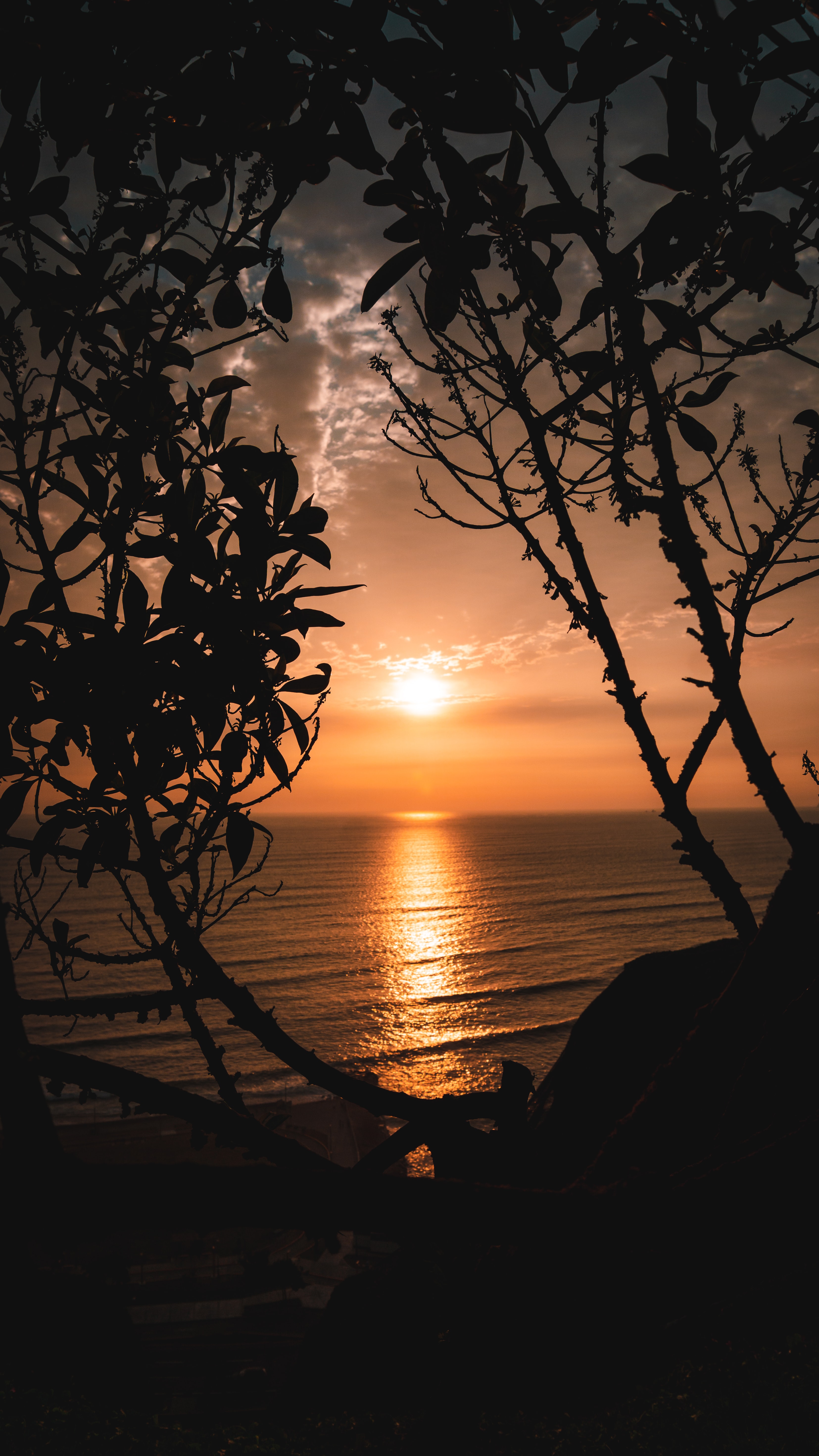 Free download wallpaper Nature, Trees, Sunset, Sun, Horizon, Branches on your PC desktop