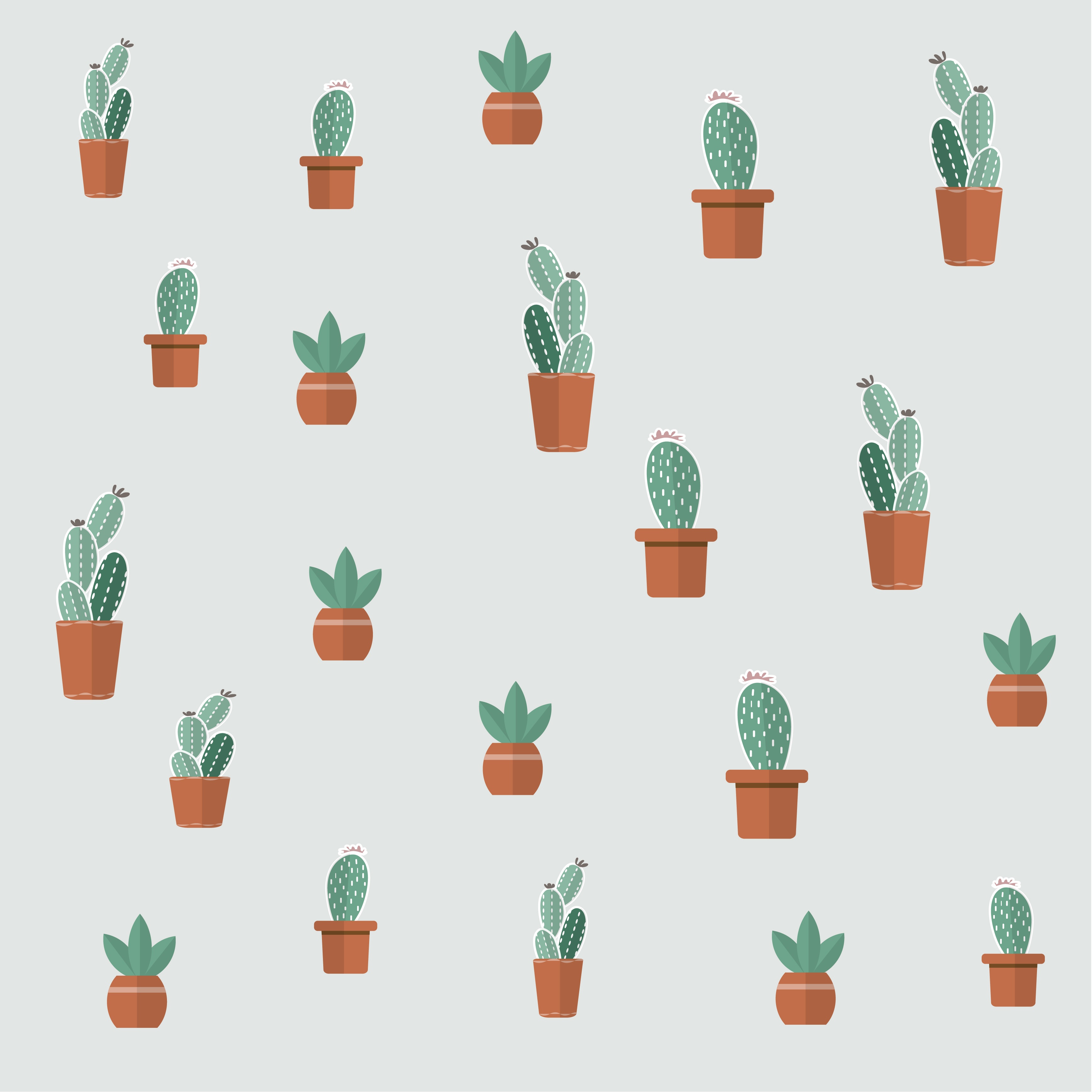 84994 télécharger l'image cactus, art, patterns, texture, textures, succulentes - fonds d'écran et économiseurs d'écran gratuits