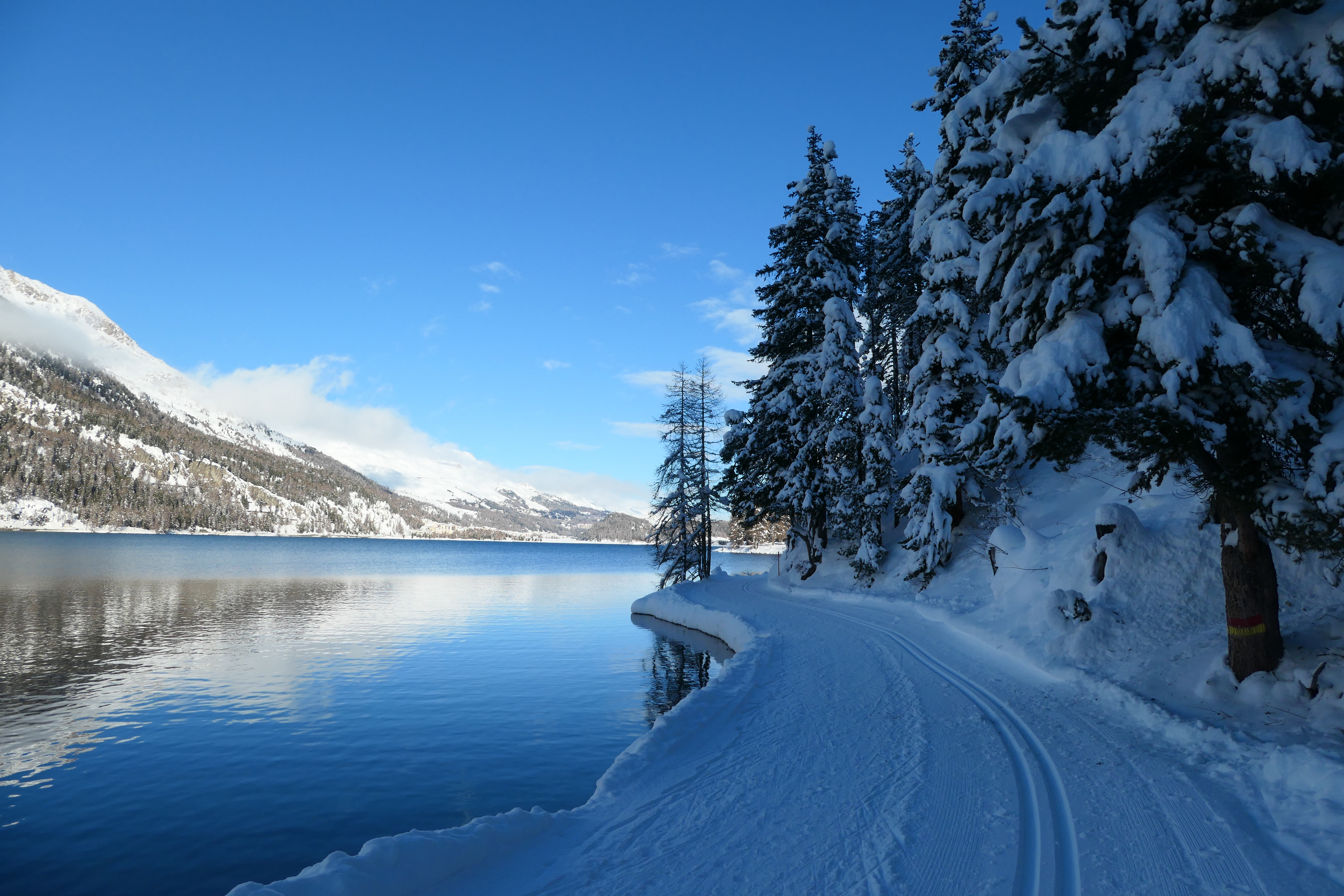 Baixar papel de parede para celular de Inverno, Neve, Lago, Caminho, Suíça, Terra/natureza, Lago Silvaplana gratuito.