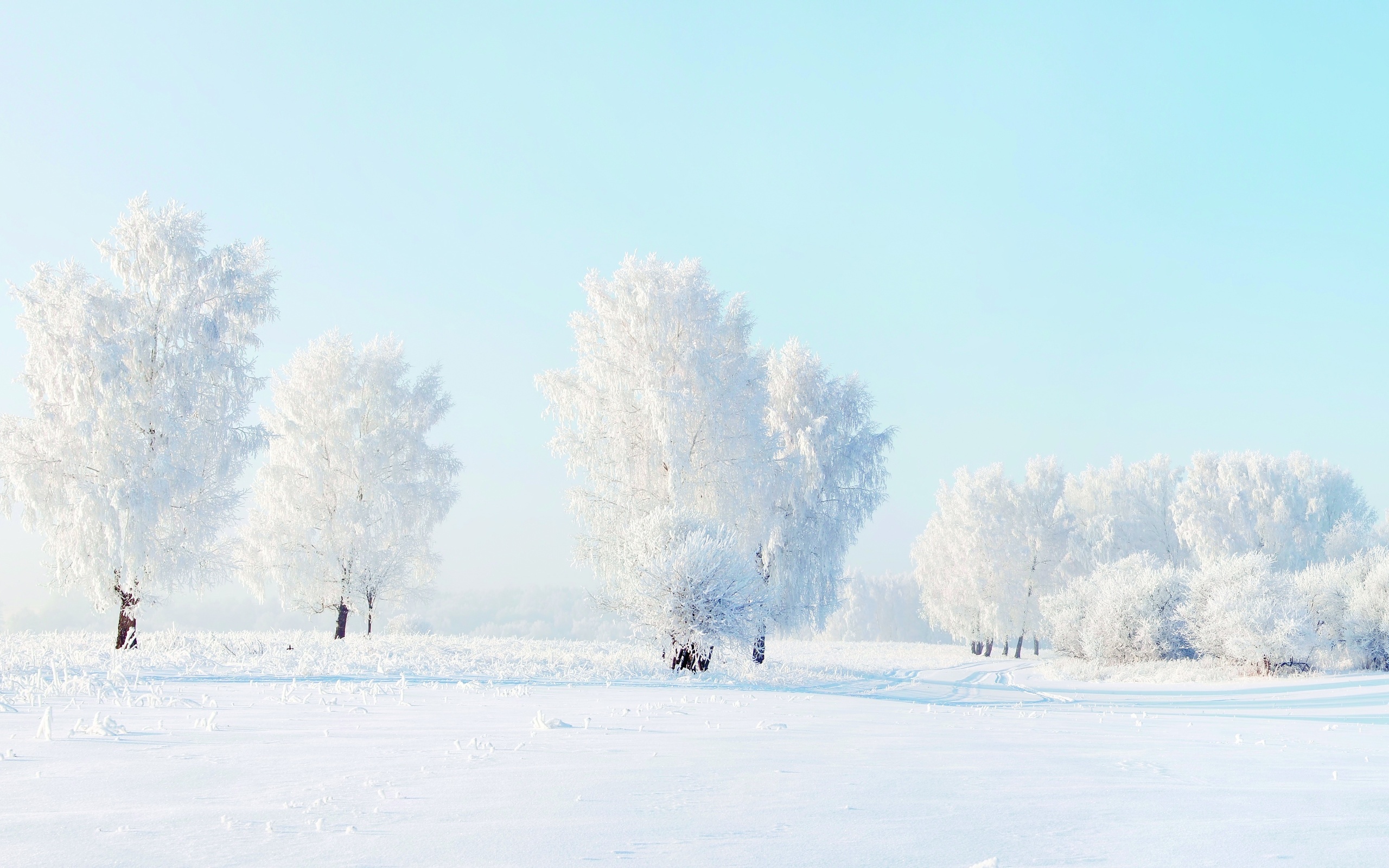 Download mobile wallpaper Winter, Snow, Tree, Earth for free.