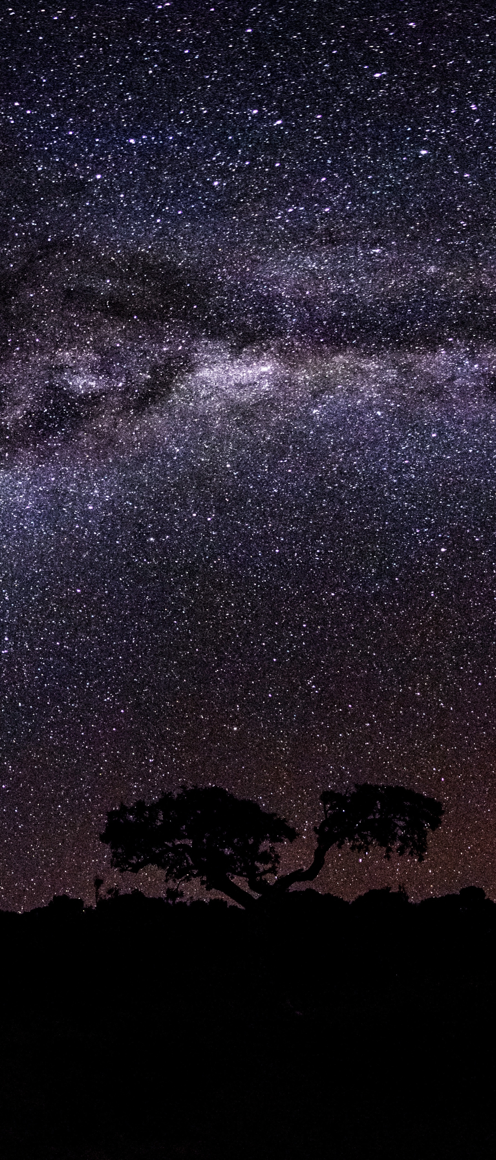 Download mobile wallpaper Sky, Stars, Night, Starry Sky, Earth, Milky Way for free.