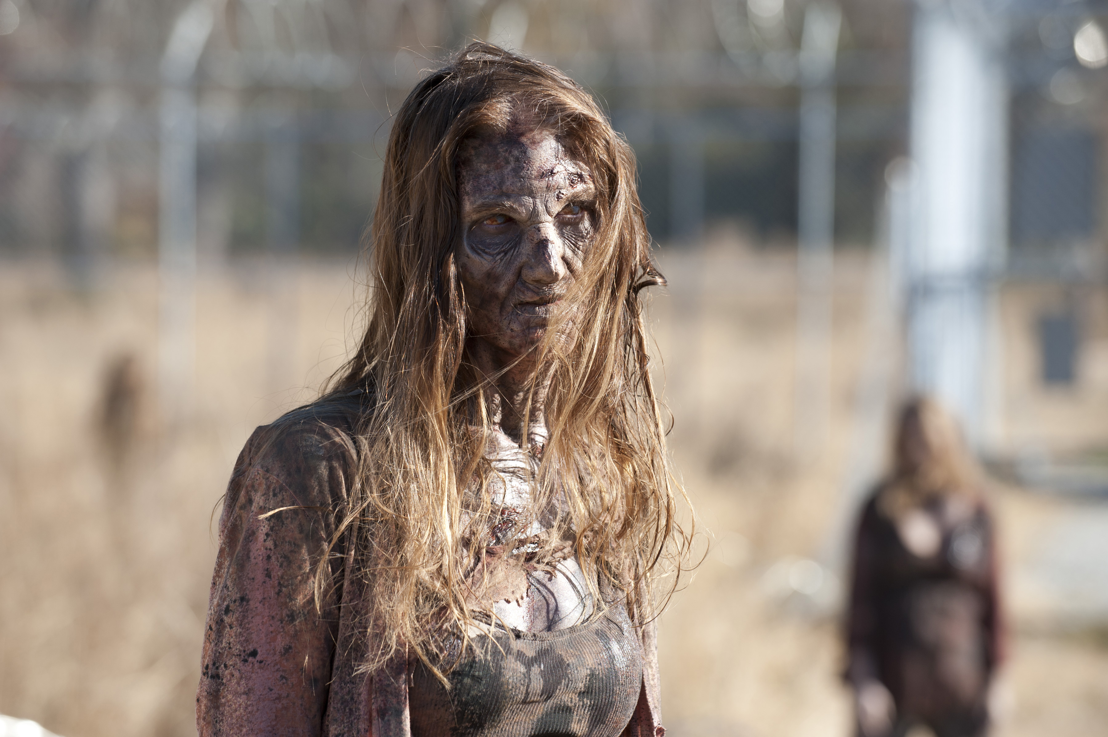 Handy-Wallpaper Fernsehserien, Zombie, The Walking Dead kostenlos herunterladen.