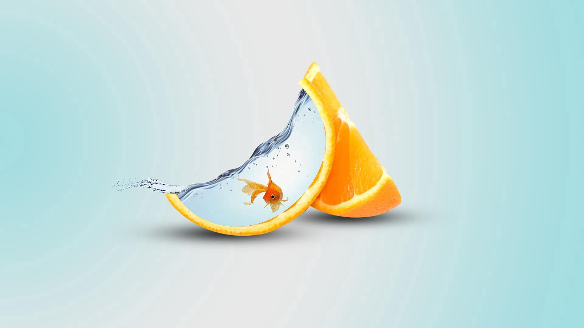 149601 скачать картинку разное, рыба, оранжевые, долька, апельсин, вода - обои и заставки бесплатно