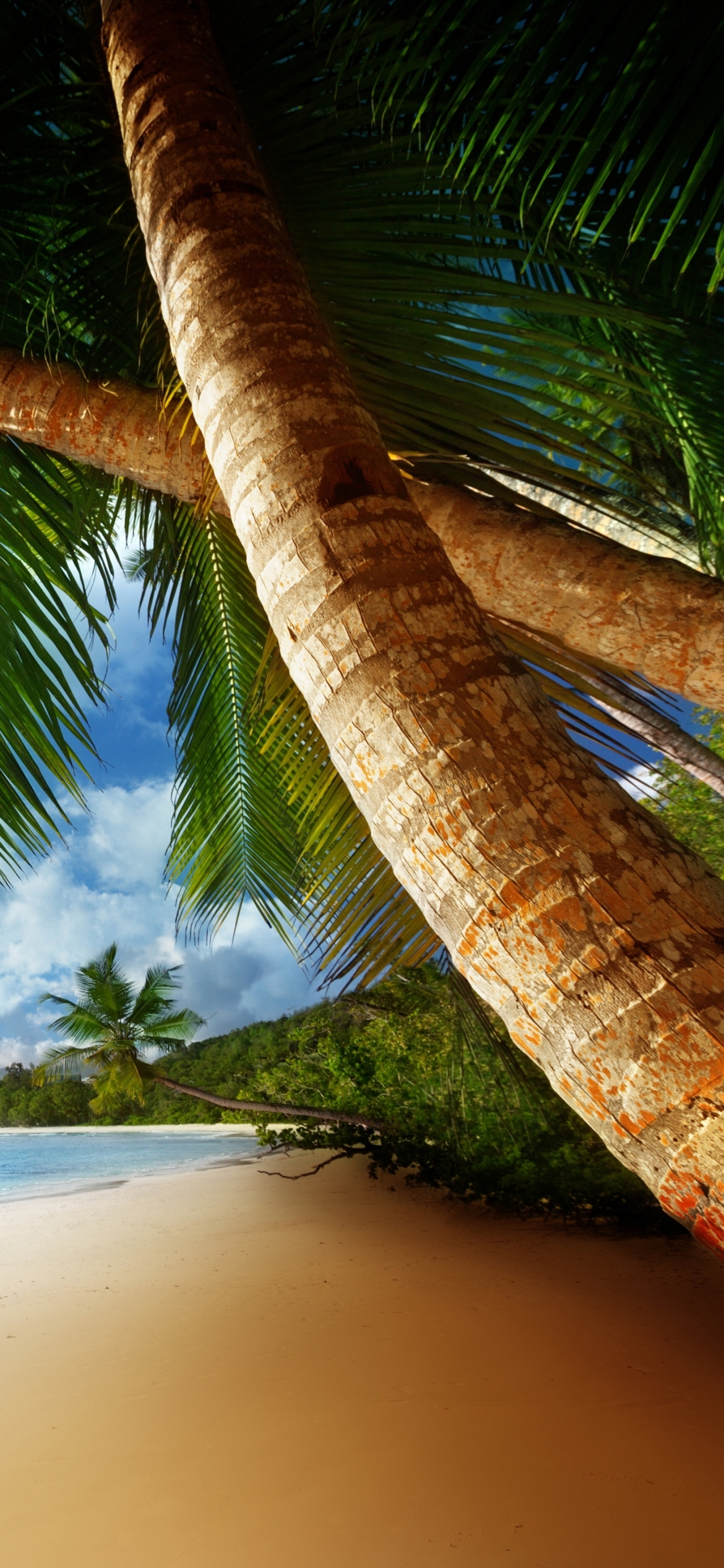 Descarga gratuita de fondo de pantalla para móvil de Playa, Tierra/naturaleza.