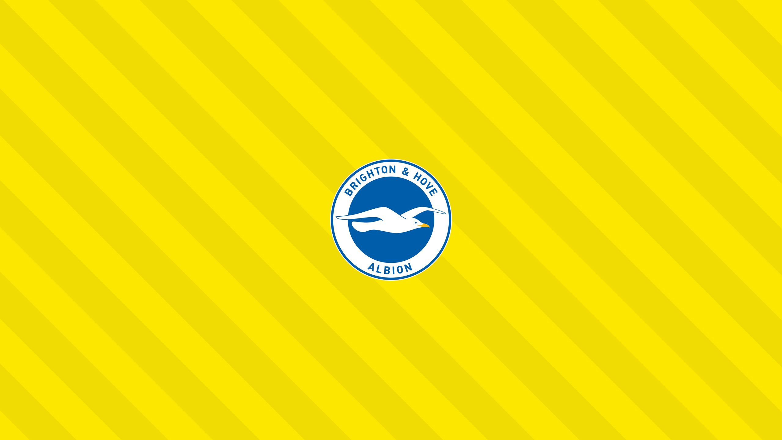 Handy-Wallpaper Sport, Fußball, Logo, Emblem, Brighton & Hove Albion Fc kostenlos herunterladen.