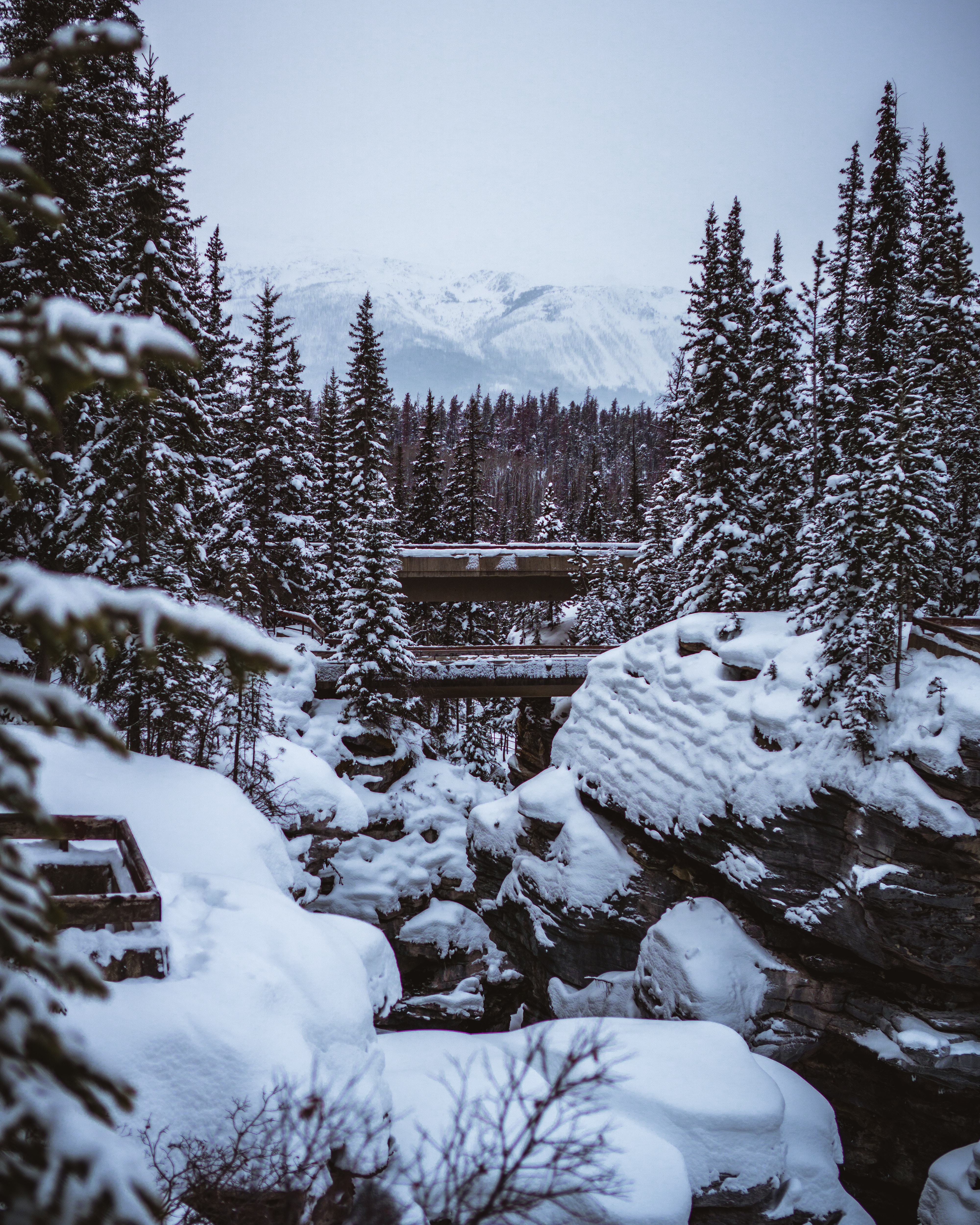 PCデスクトップに冬, 自然, 木, 雪, 山脈, 風景画像を無料でダウンロード