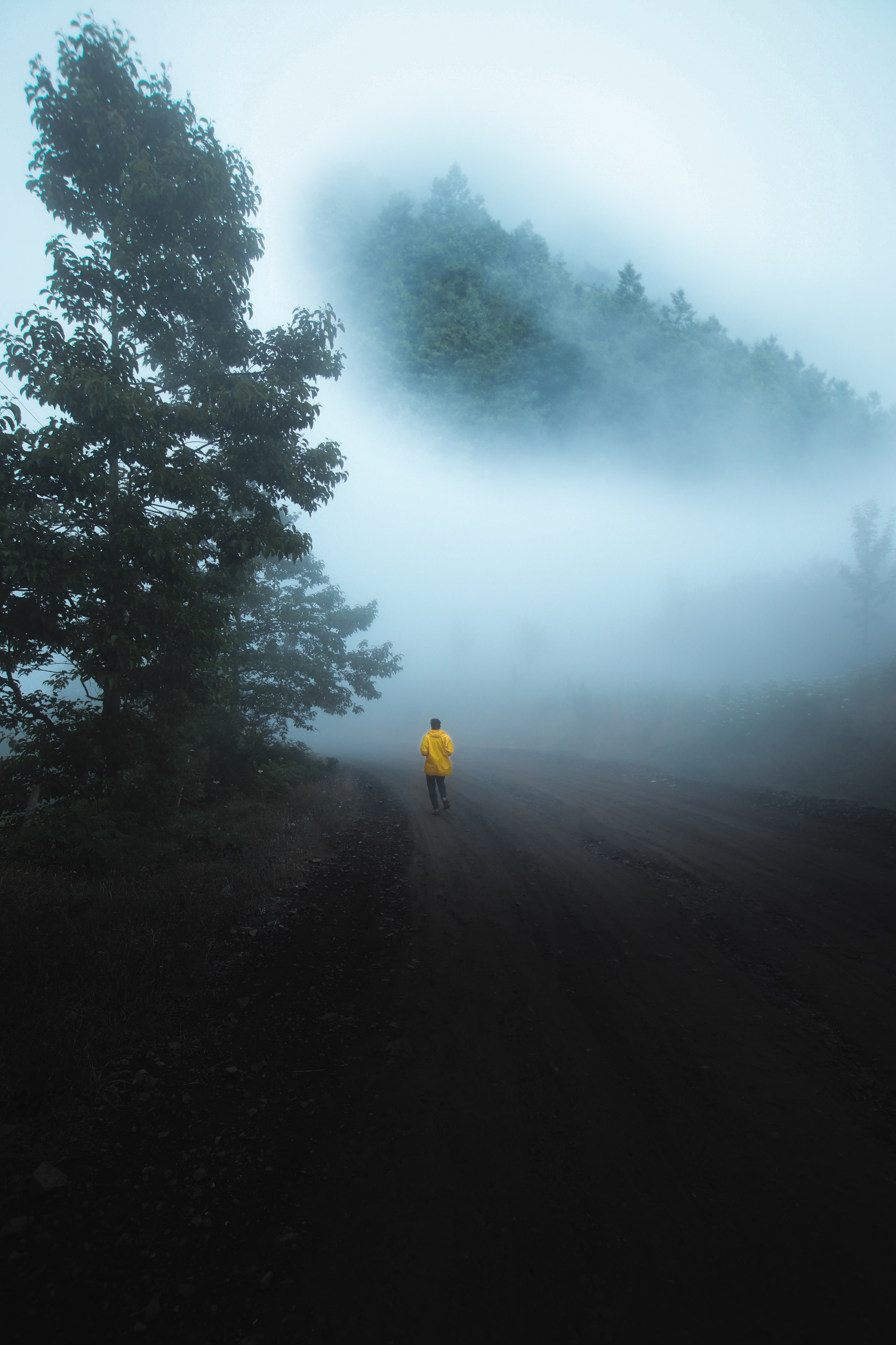 Download mobile wallpaper Fog, Person, Nature, Miscellaneous, Miscellanea, Human, Run, Loneliness, Running for free.