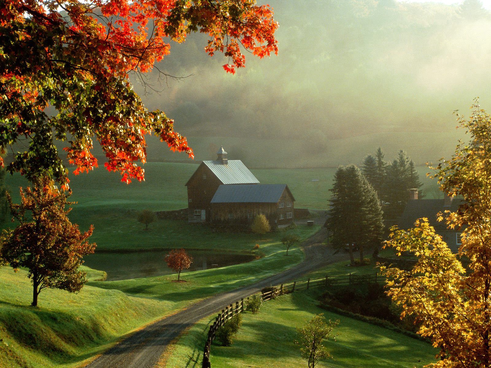 house, nature, trees, autumn, lake, fog, meadows