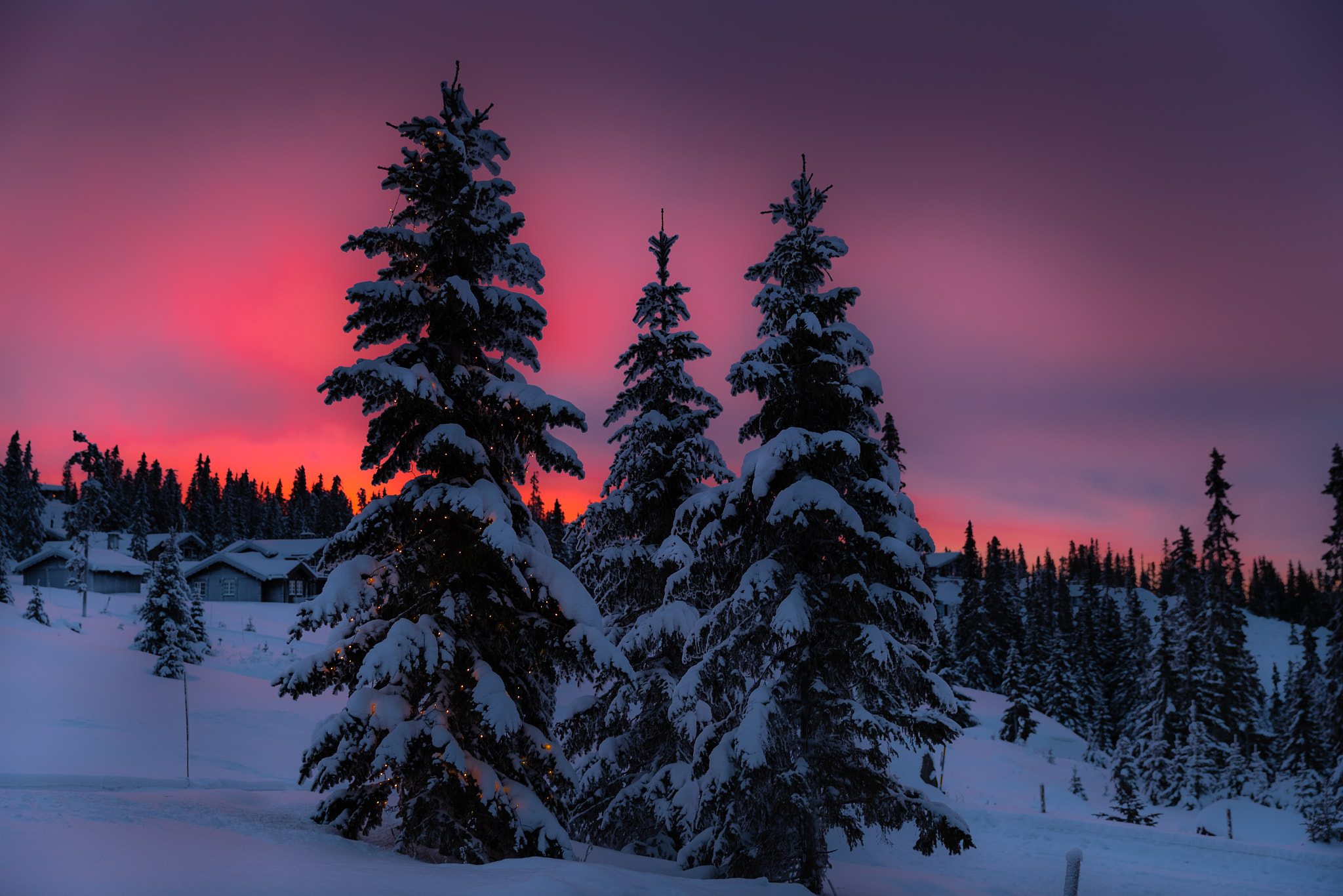 Скачать обои бесплатно Зима, Небо, Снег, Лес, Фотографии, Закат Солнца картинка на рабочий стол ПК
