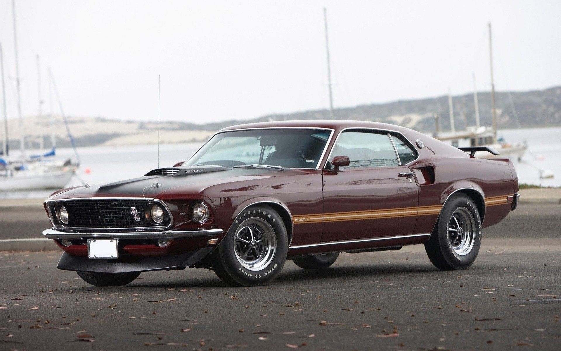 ford mustang mach 1, vehicles, fastback, muscle car, ford