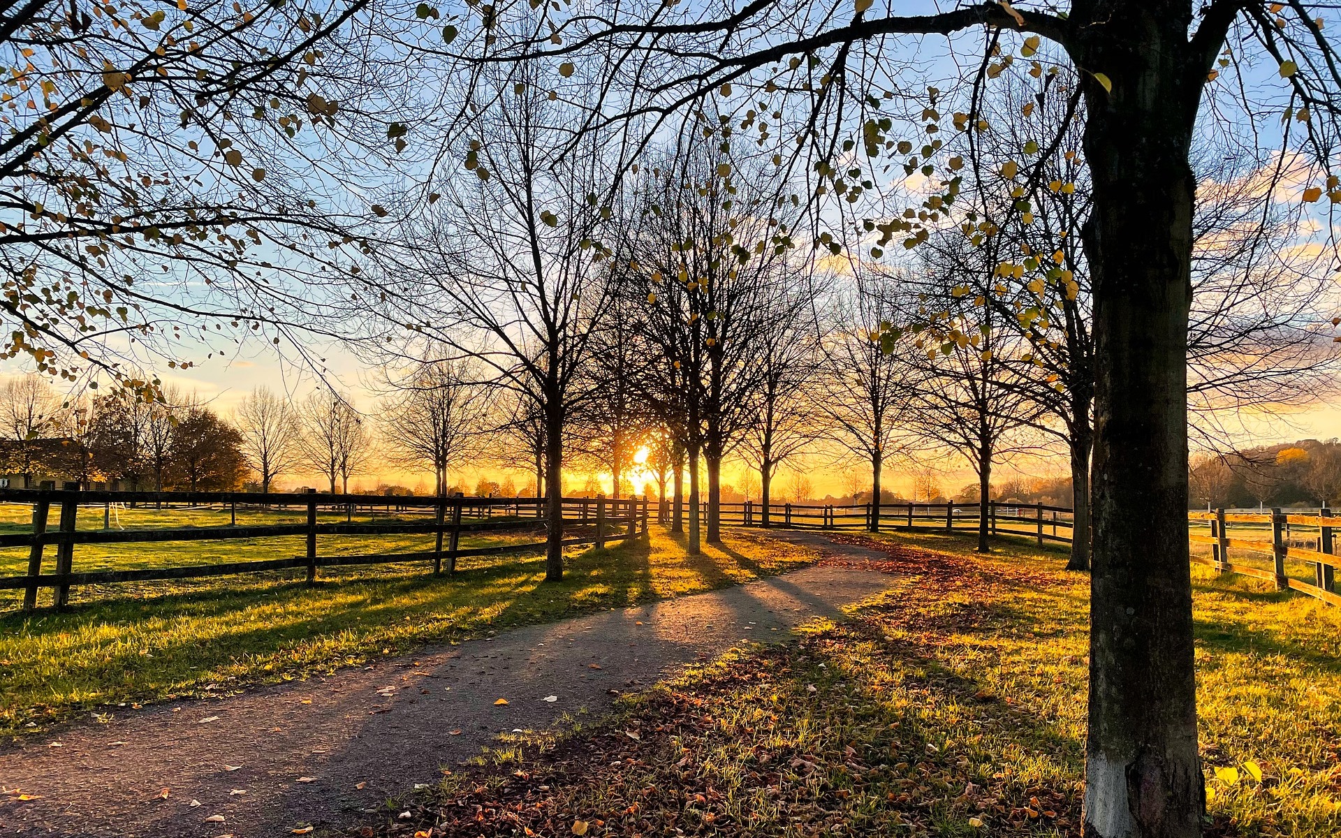 Free download wallpaper Sunset, Park, Shadow, Fence, Photography on your PC desktop