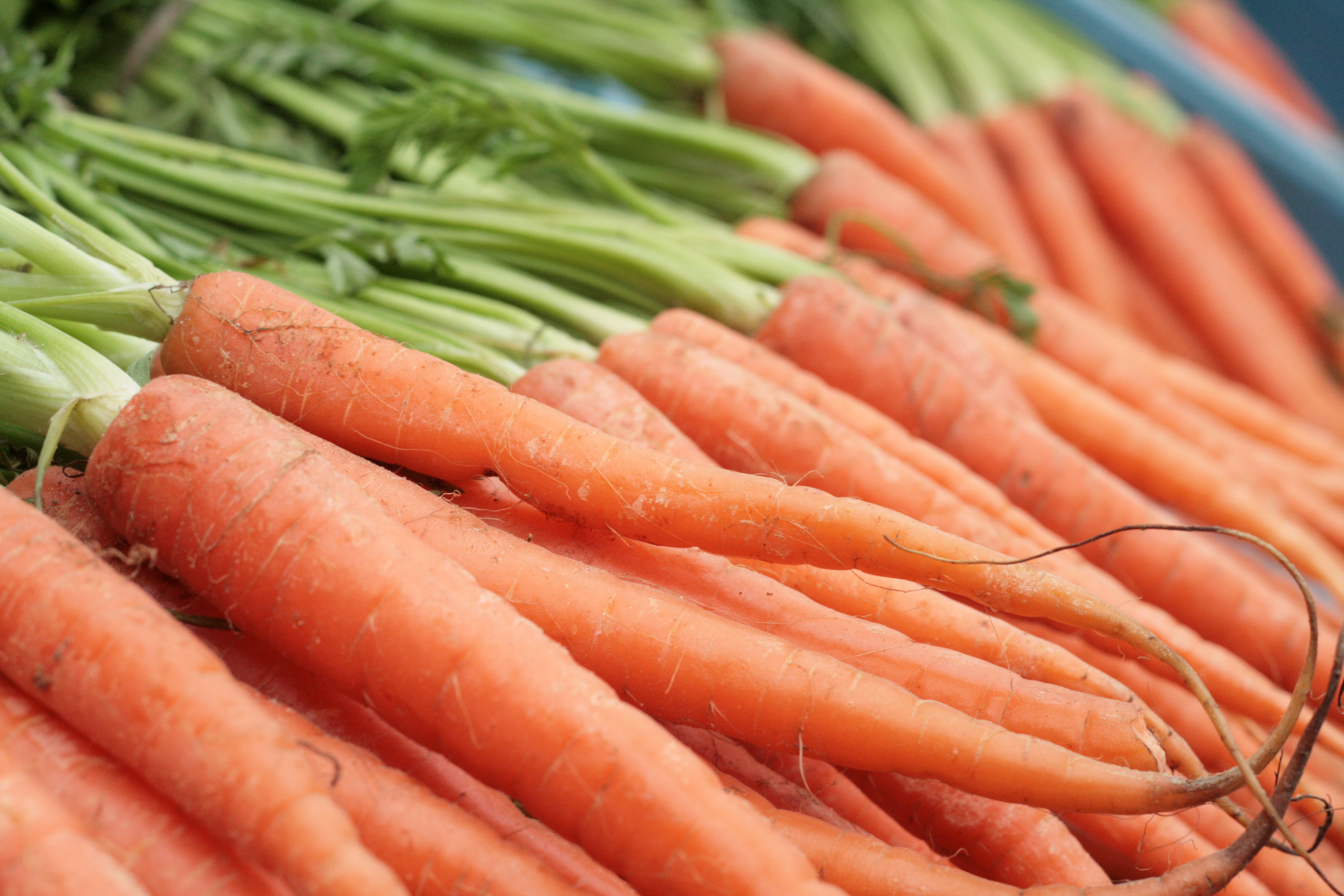 food, carrot