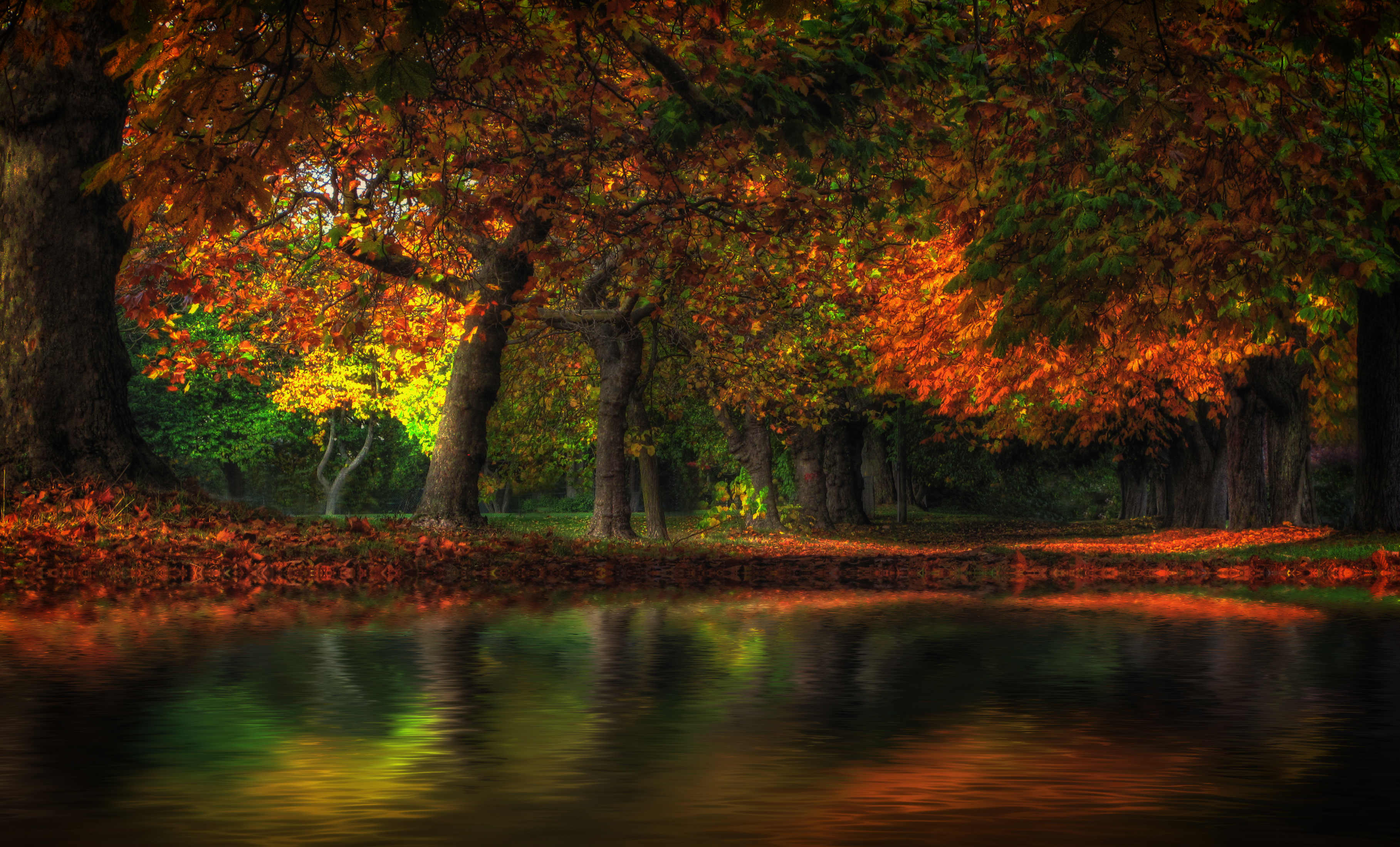 PCデスクトップに風景, 自然, 木, 秋, 地球画像を無料でダウンロード
