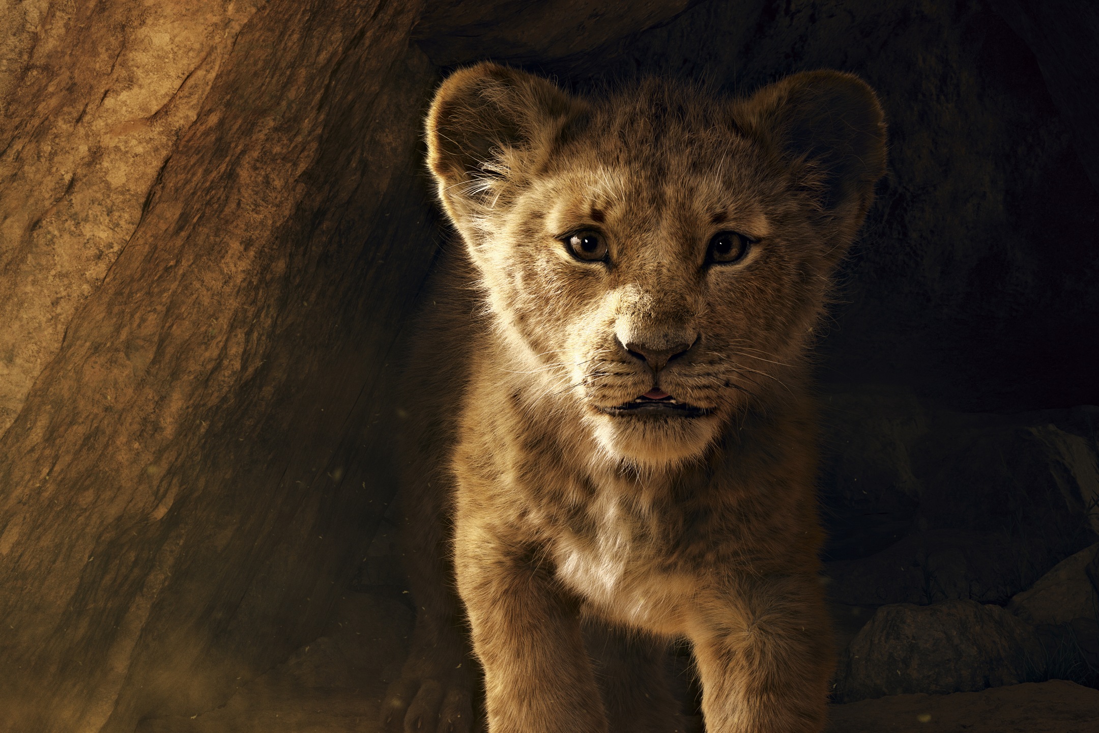 Descarga gratuita de fondo de pantalla para móvil de Películas, Simba, El Rey León (2019).