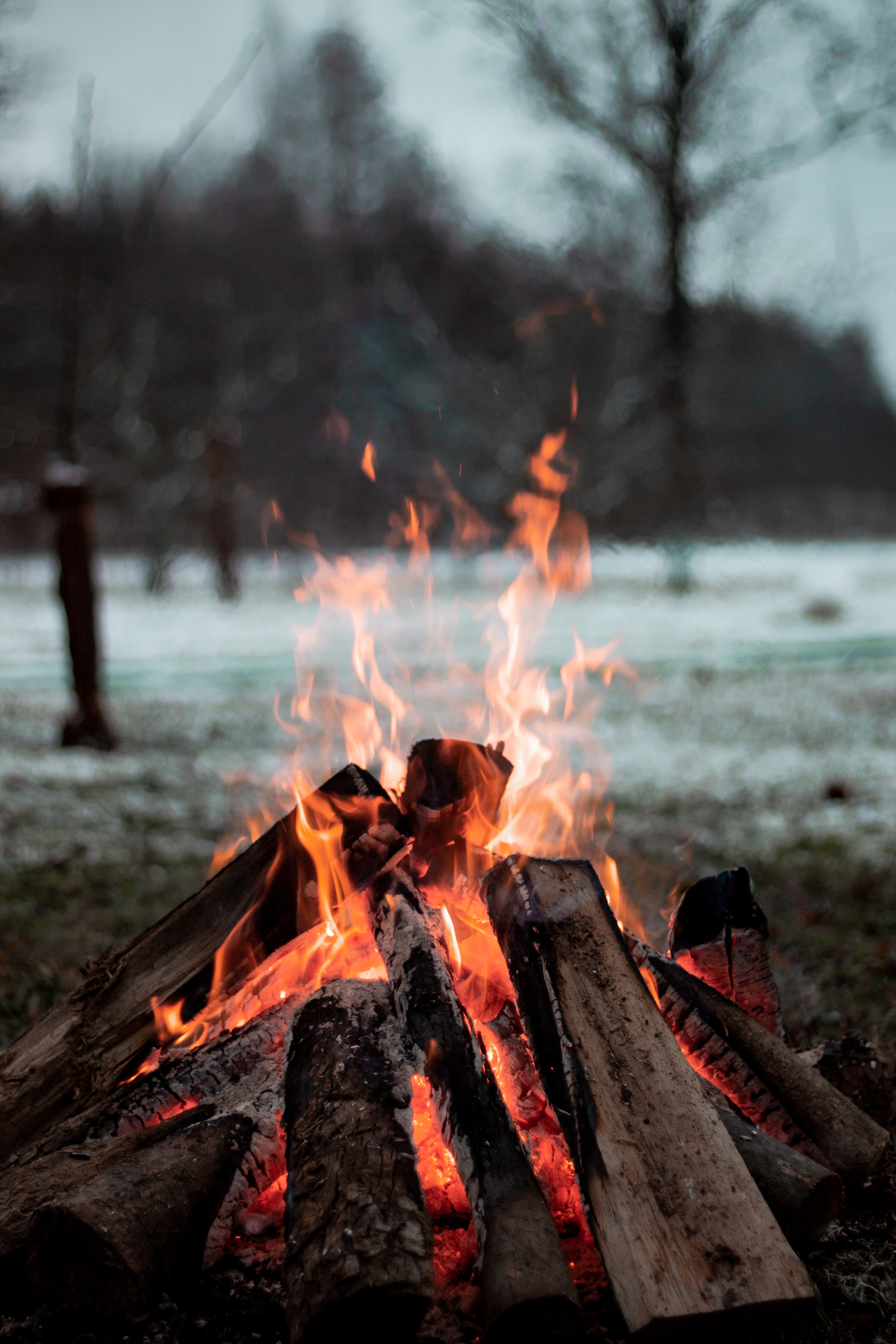 119149 Hintergrundbild herunterladen feuer, natur, bonfire, flamme, brennholz, brennen - Bildschirmschoner und Bilder kostenlos