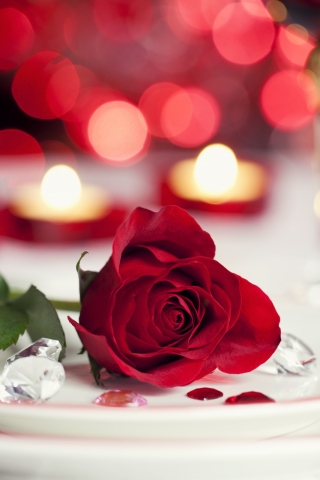 Download mobile wallpaper Valentine's Day, Holiday for free.