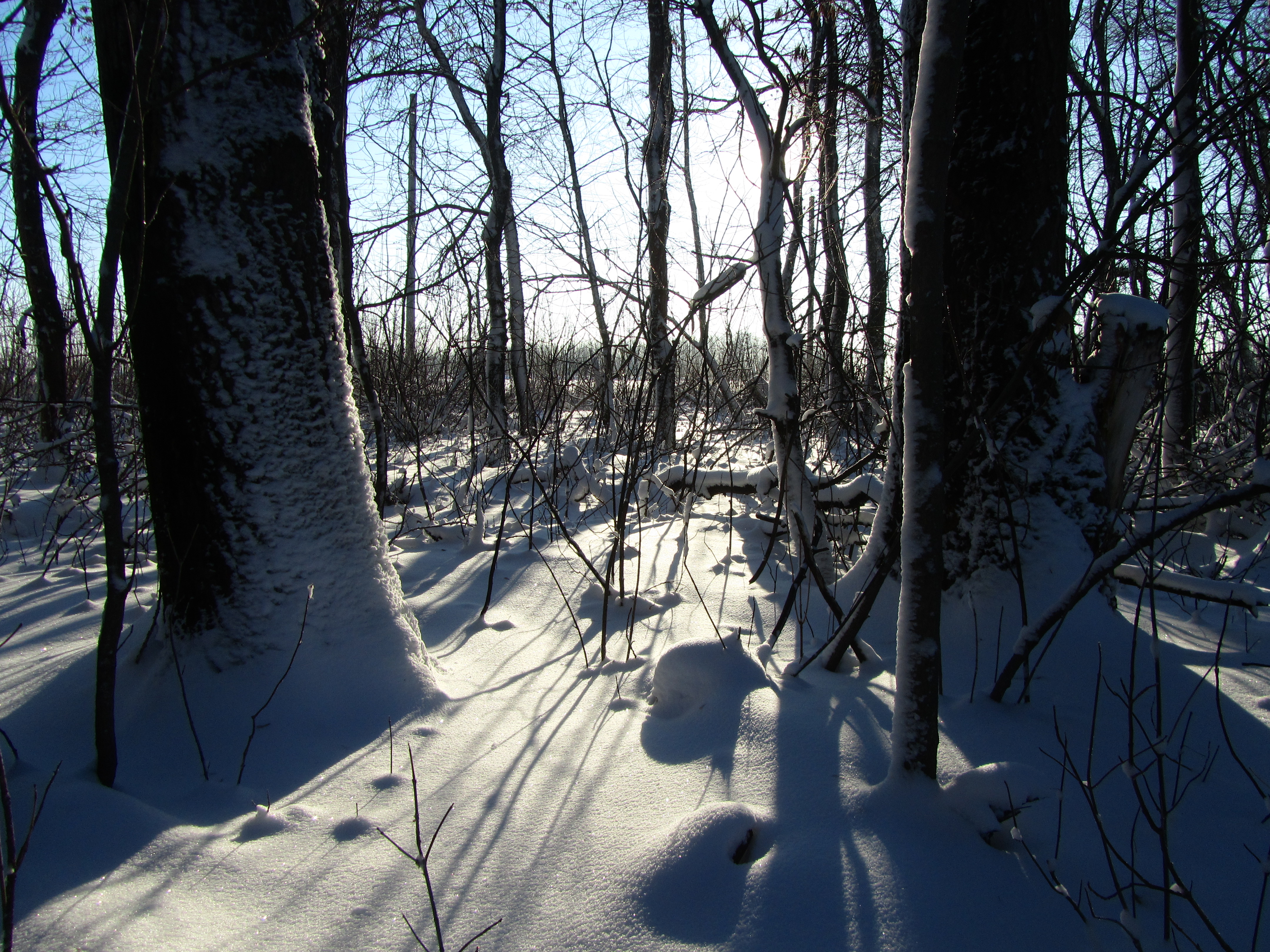 Descarga gratis la imagen Invierno, Fotografía en el escritorio de tu PC