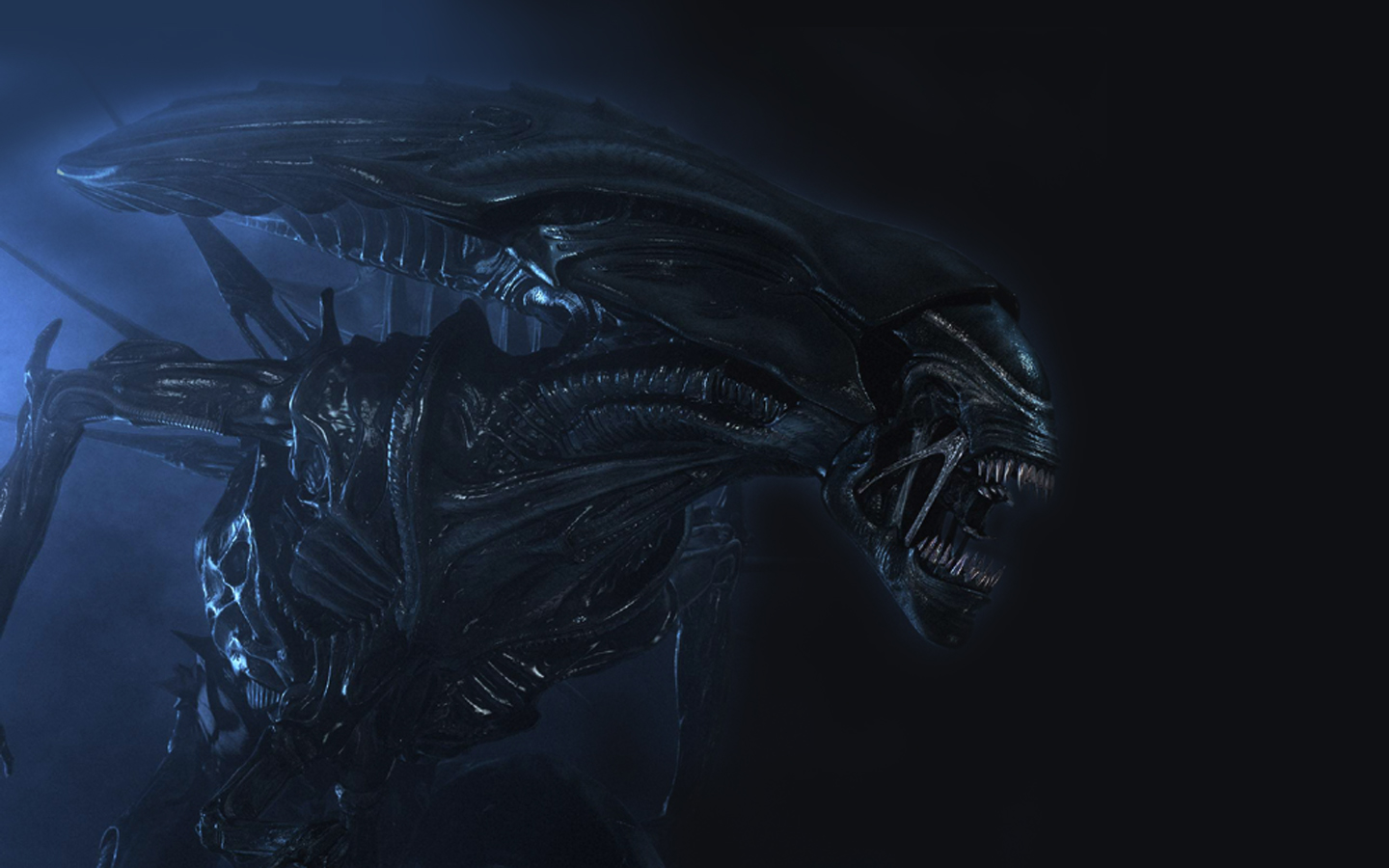 Laden Sie das Filme, Alien: Das Unheimliche Wesen Aus Einer Fremden Welt-Bild kostenlos auf Ihren PC-Desktop herunter