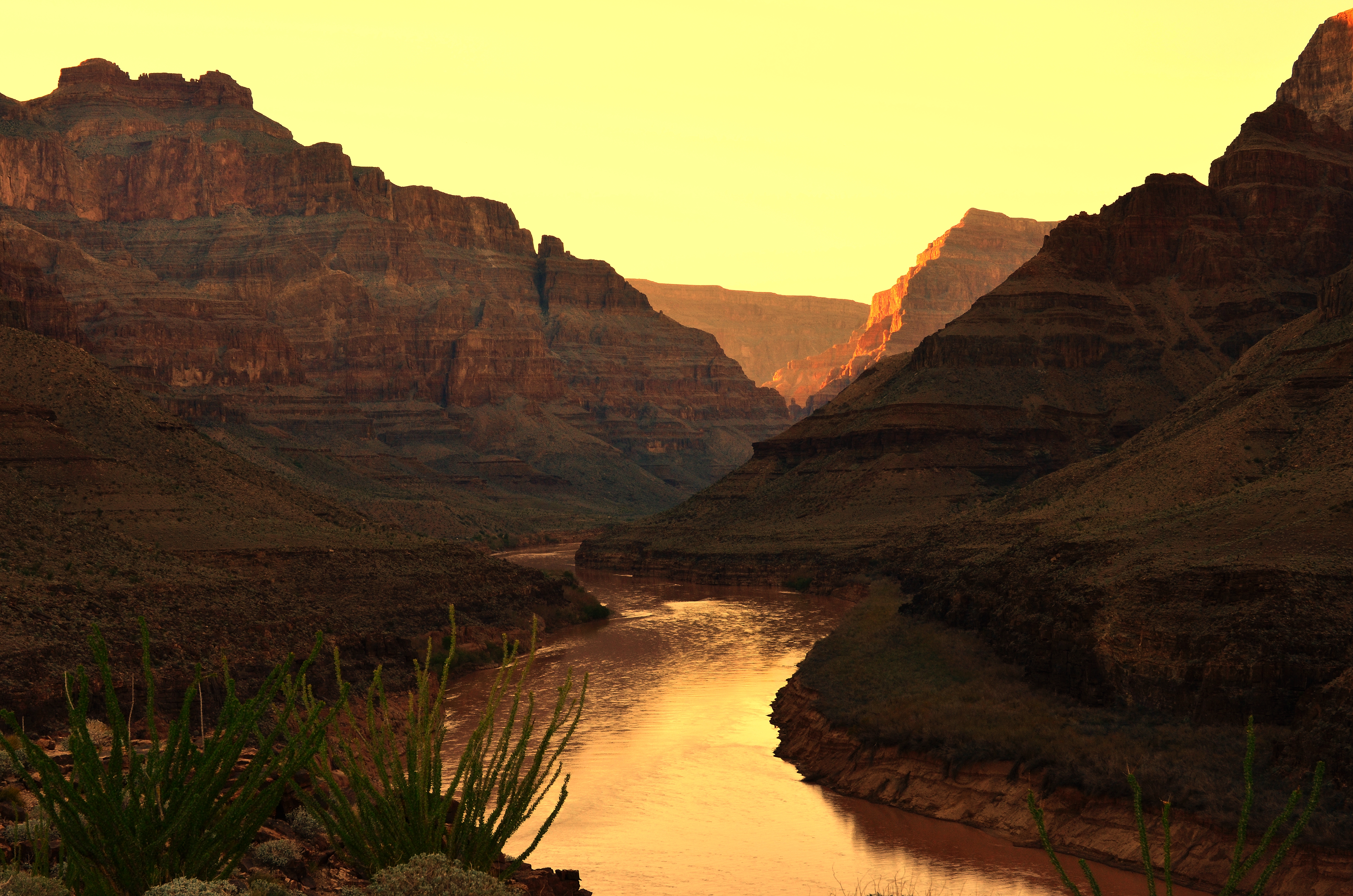 canyon, plants, nature, rivers, sunset, rocks phone wallpaper